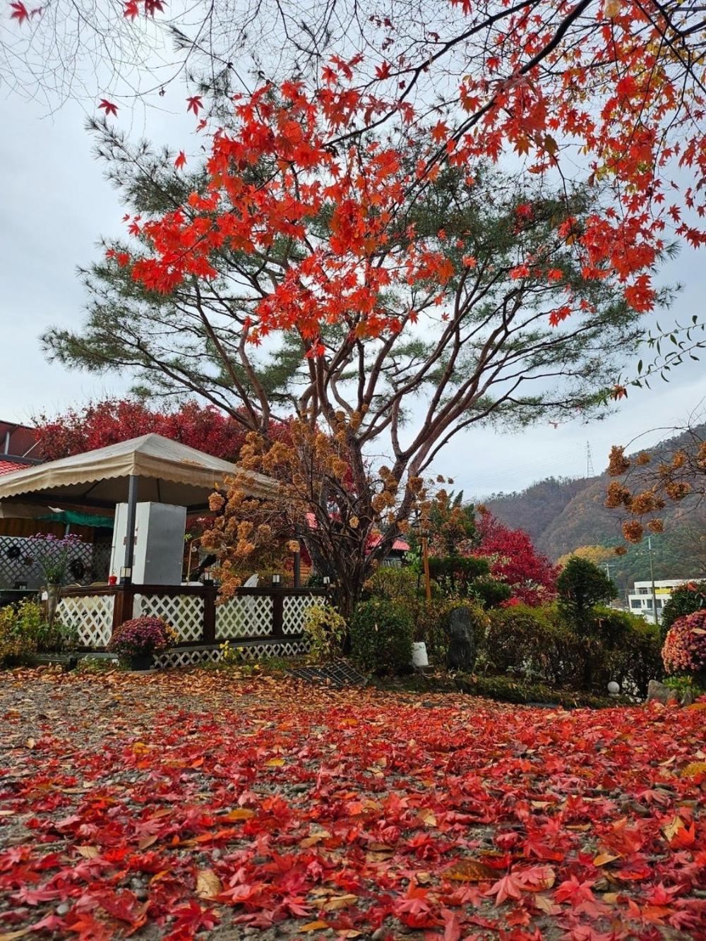 Gapyeong Kkonmuji Pension
