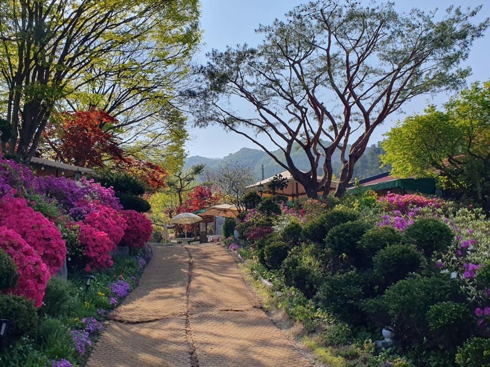 Gapyeong Kkonmuji Pension