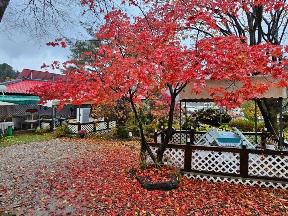 Gapyeong Kkonmuji Pension