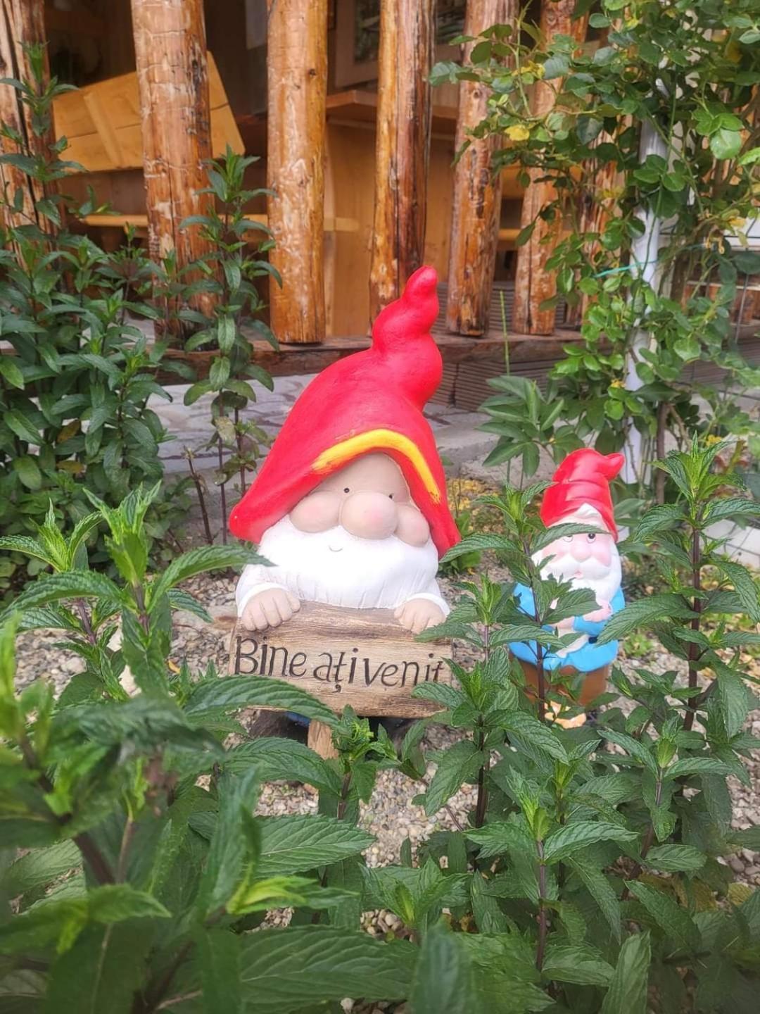 La Fermă