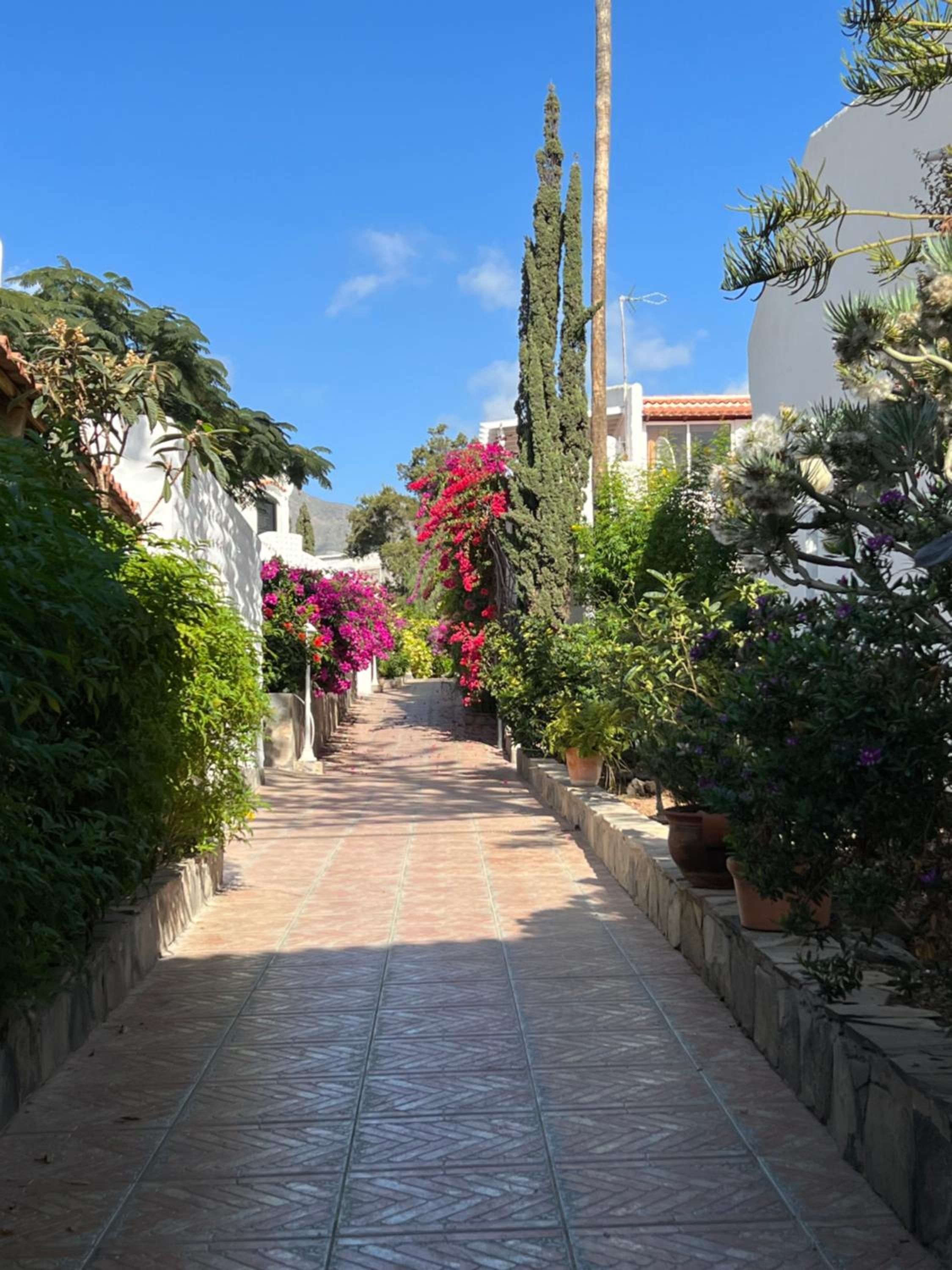 Las Américas Paraíso del Sol