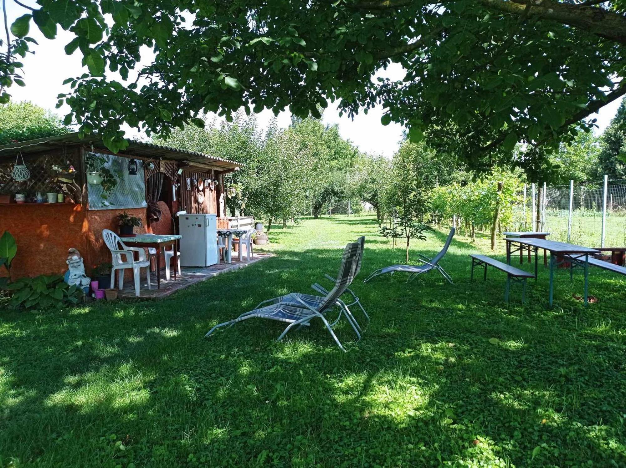 Örökzöld apartman