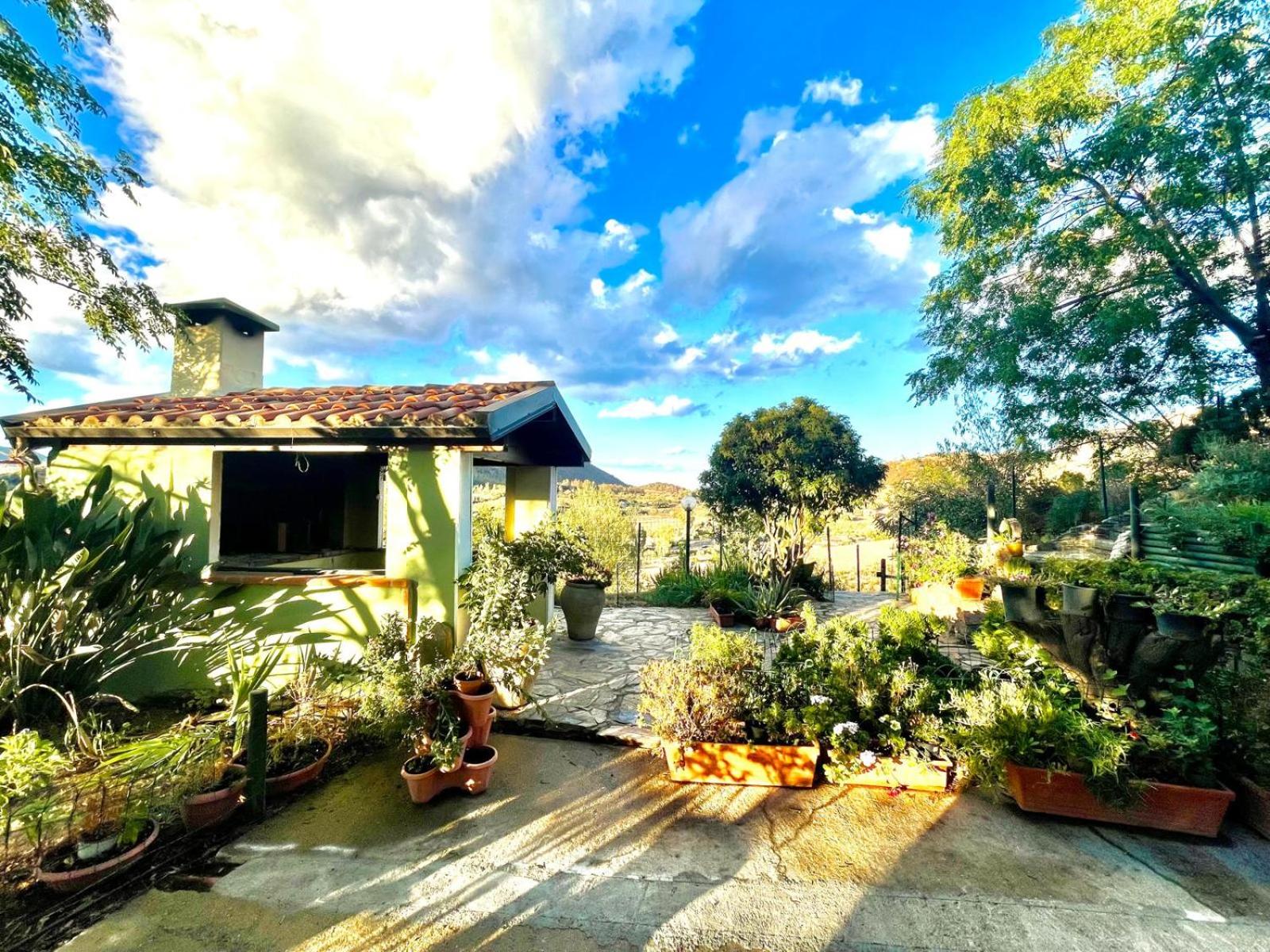 Panorama Apartment