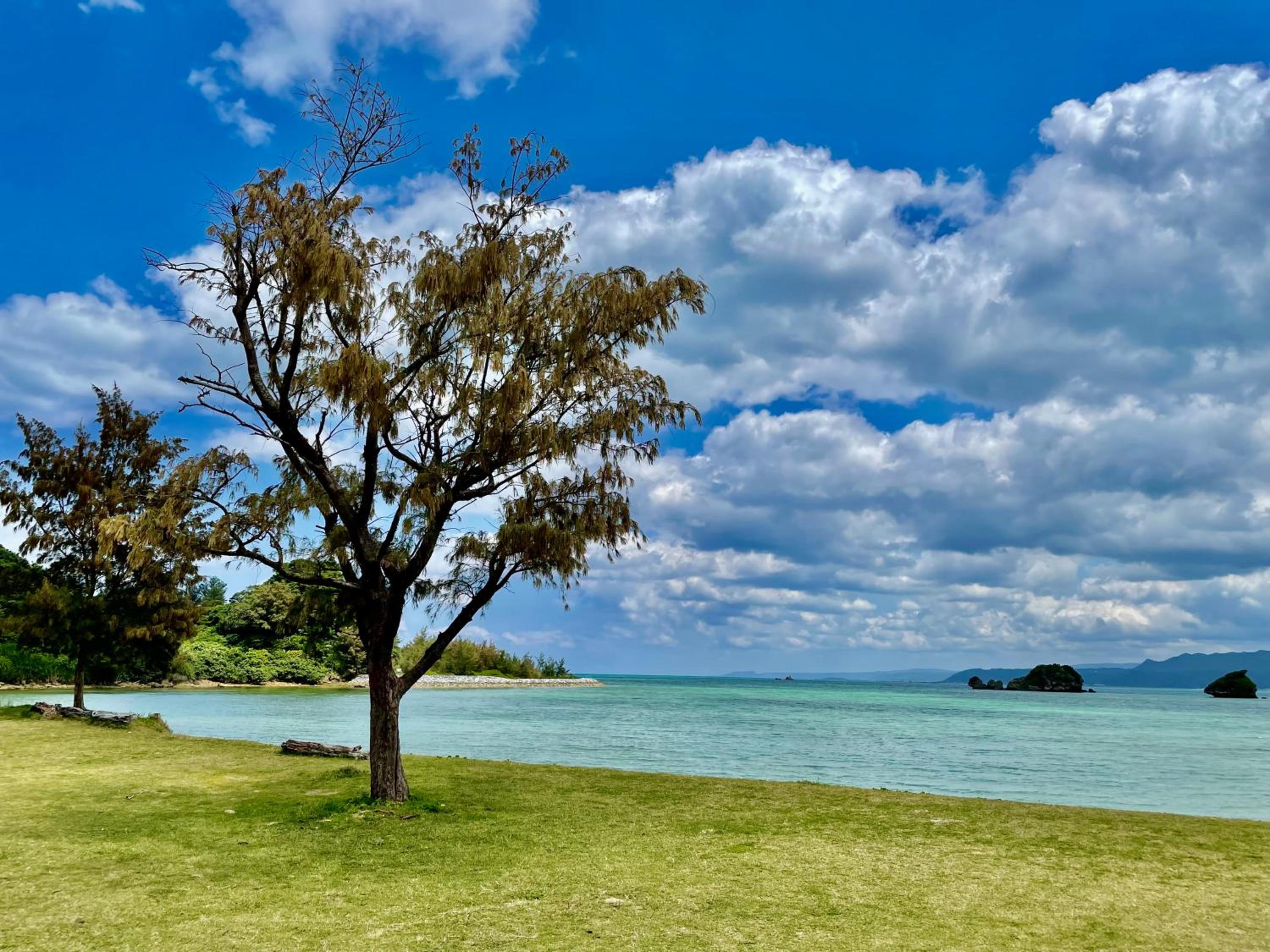 RB Villa Sumuide Okinawa view 4