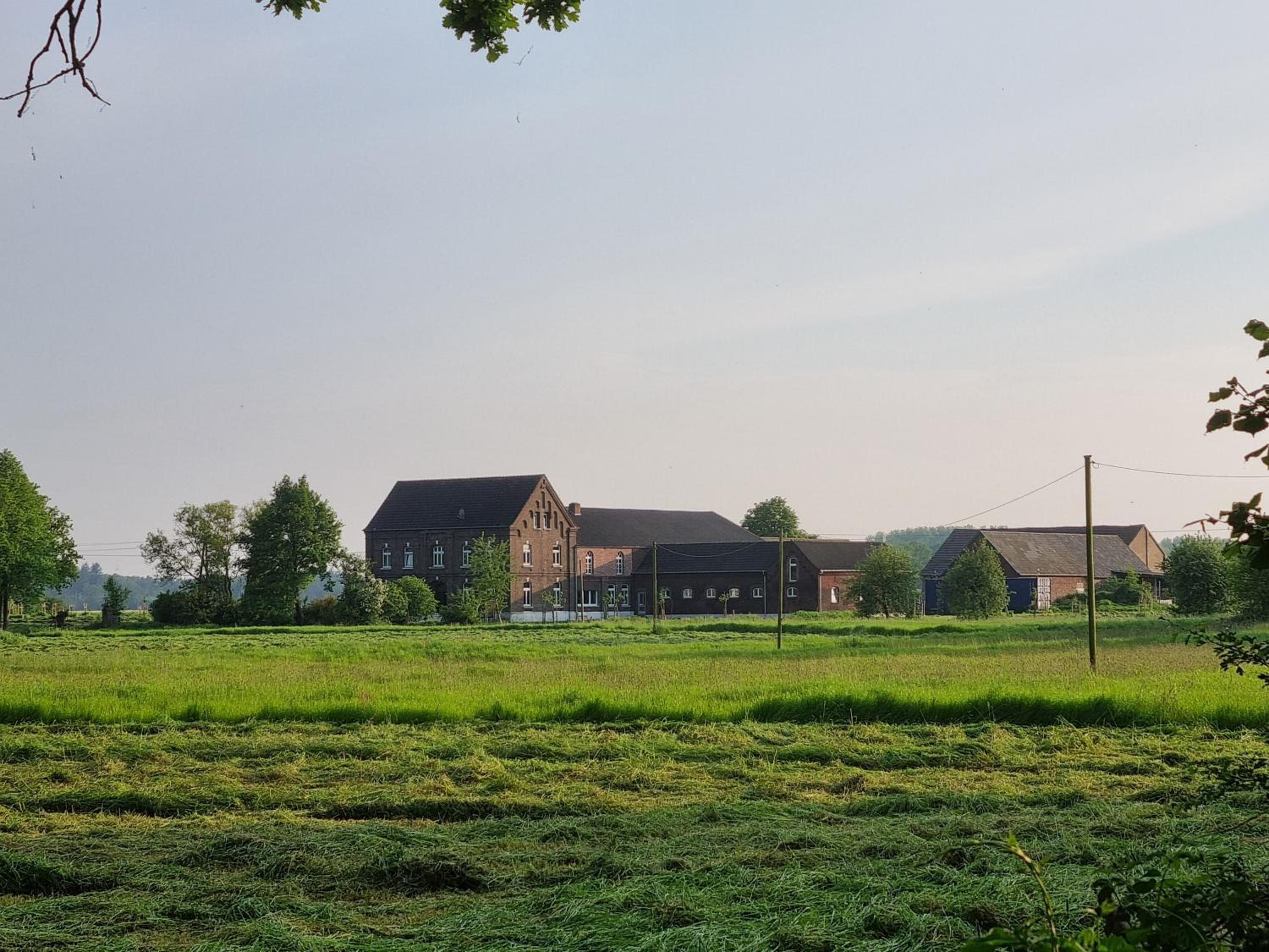 Gutshaus Michelshof - Viel Platz in der Natur