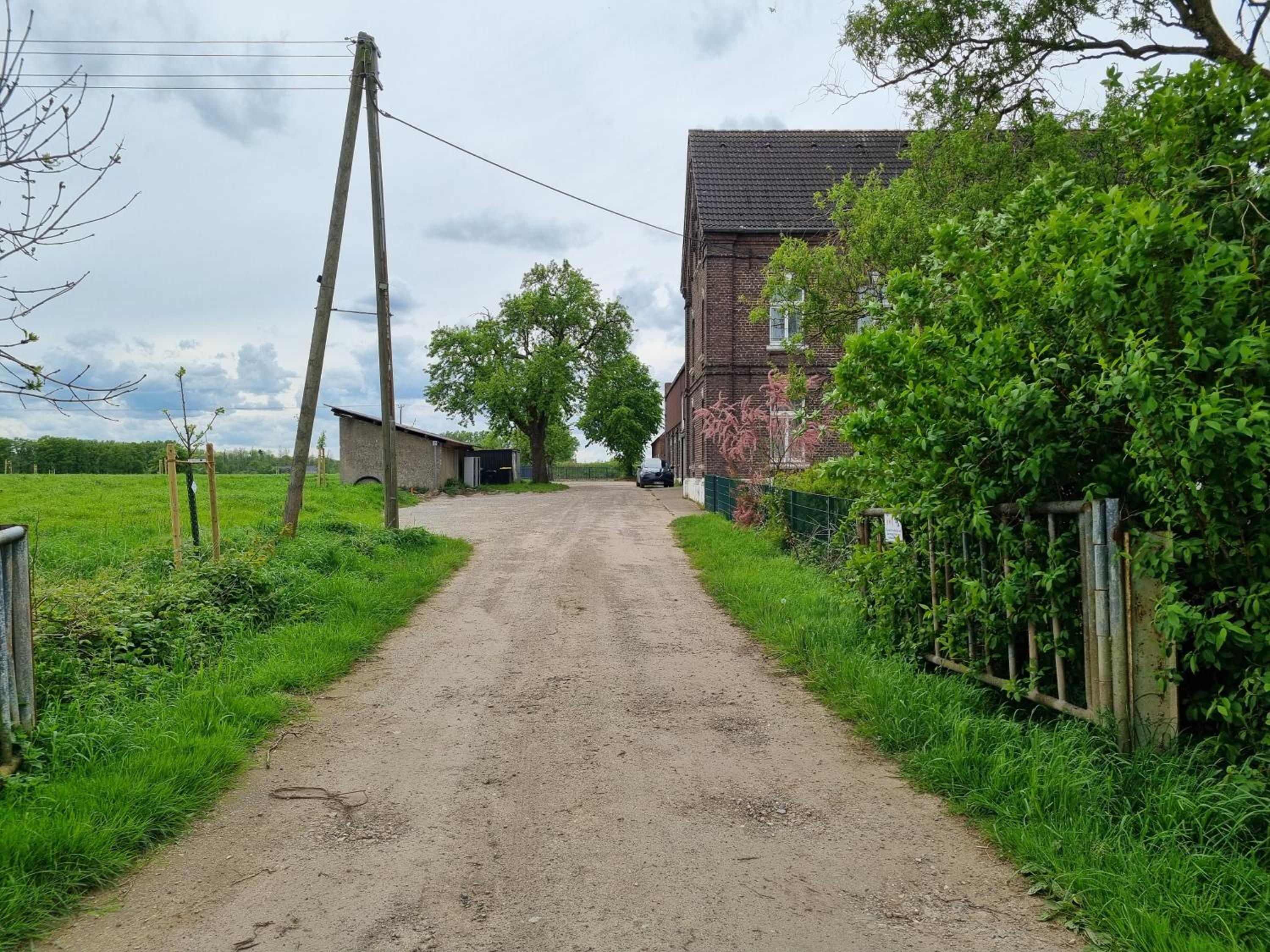 Gutshaus Michelshof - Viel Platz in der Natur