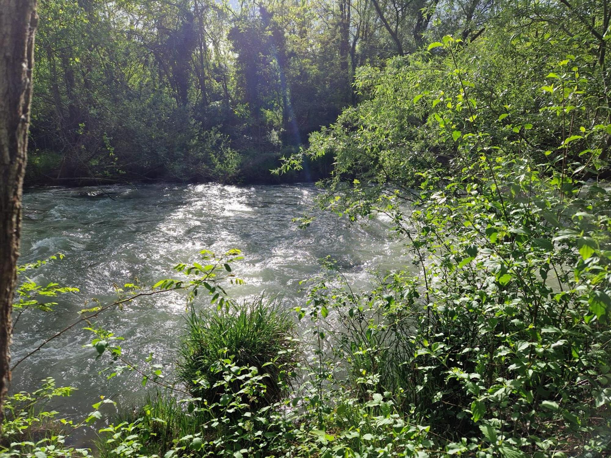 Photo 43