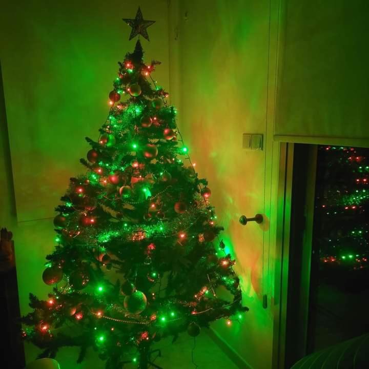 Photo 12