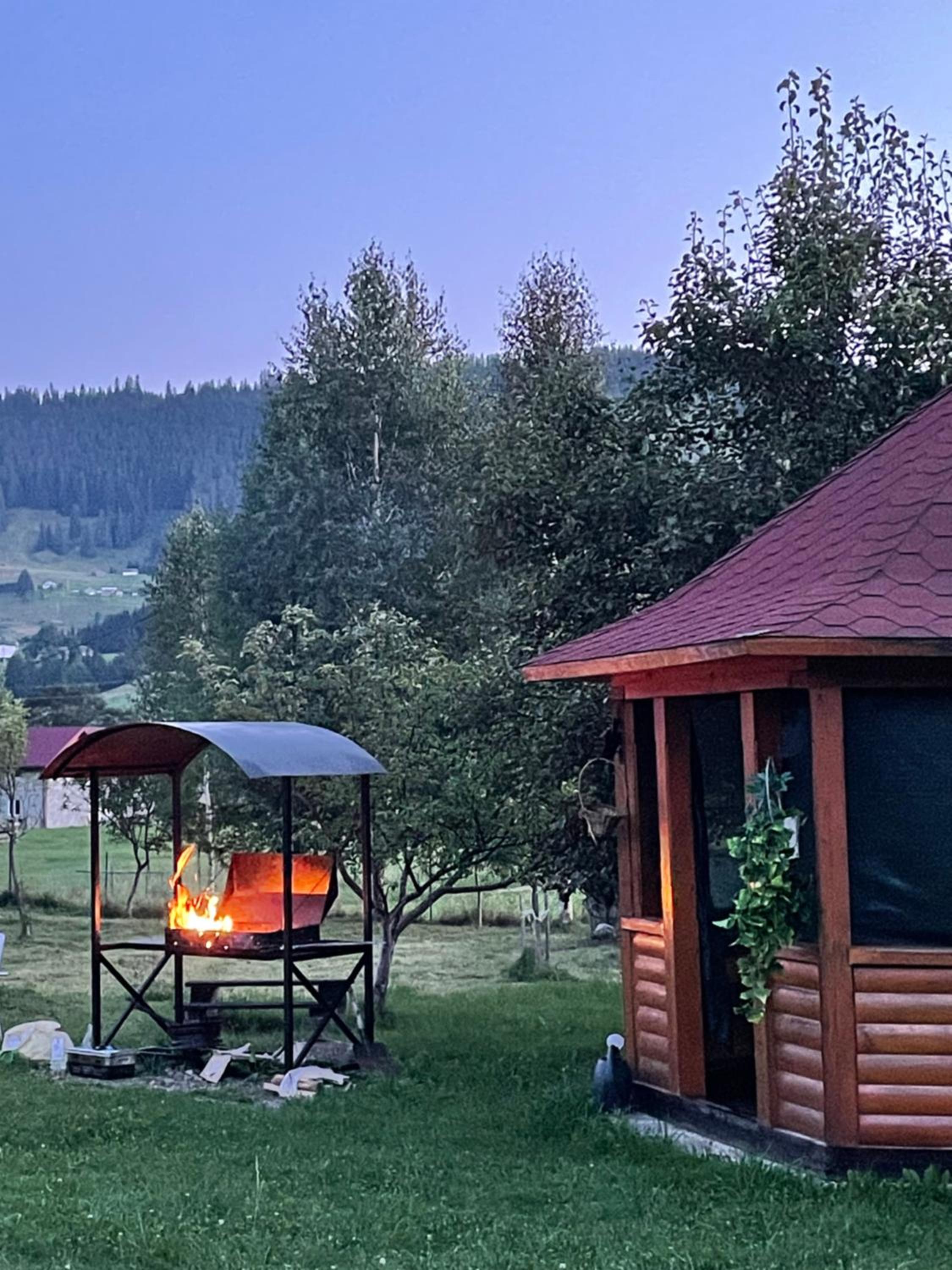 Садиба Карпат view 4
