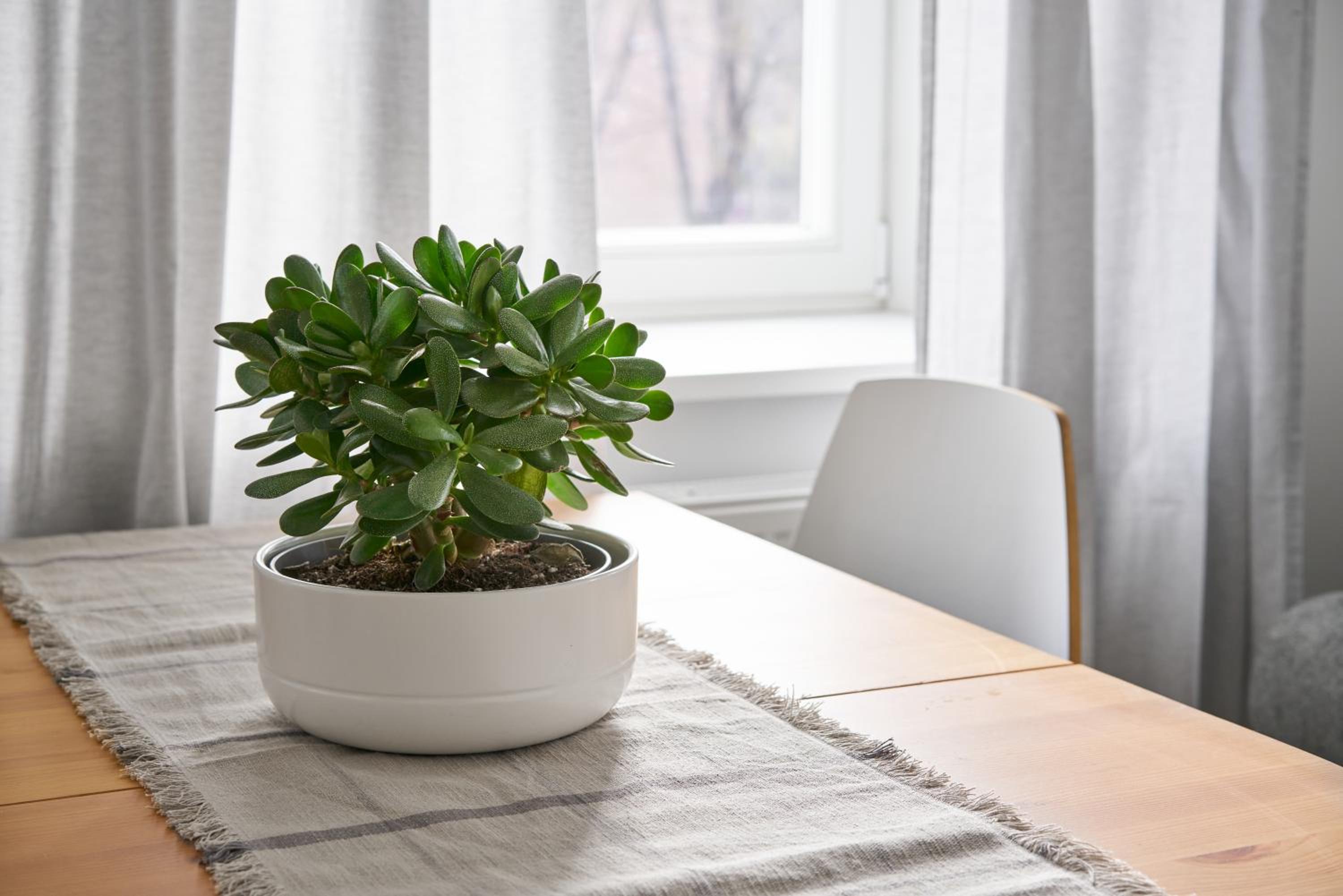 Cute&Light Apartment, Vilnius City Centre view 2