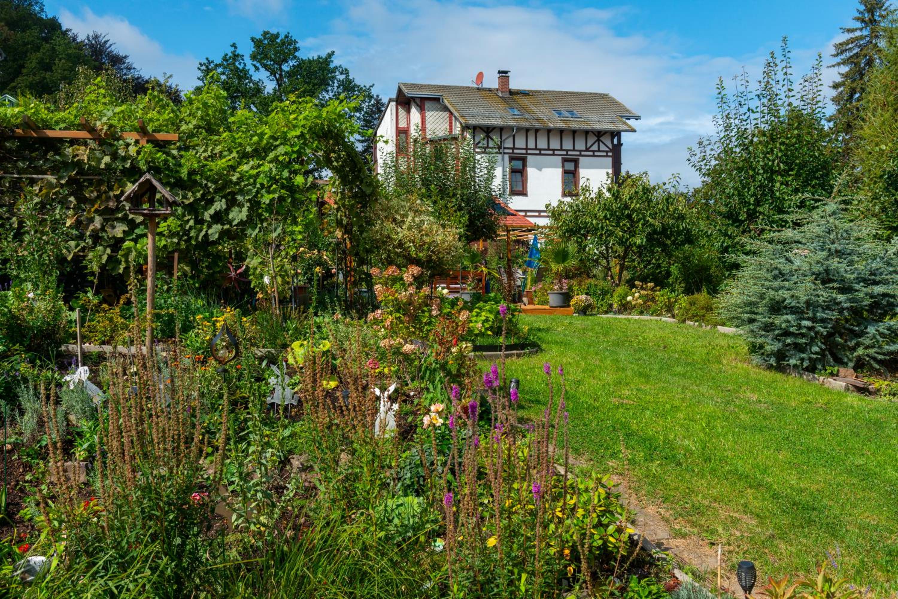 Villa Regina Waldblick
