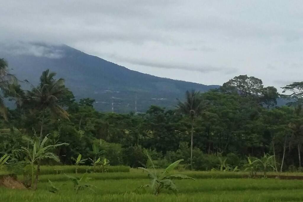 Indonesia Village