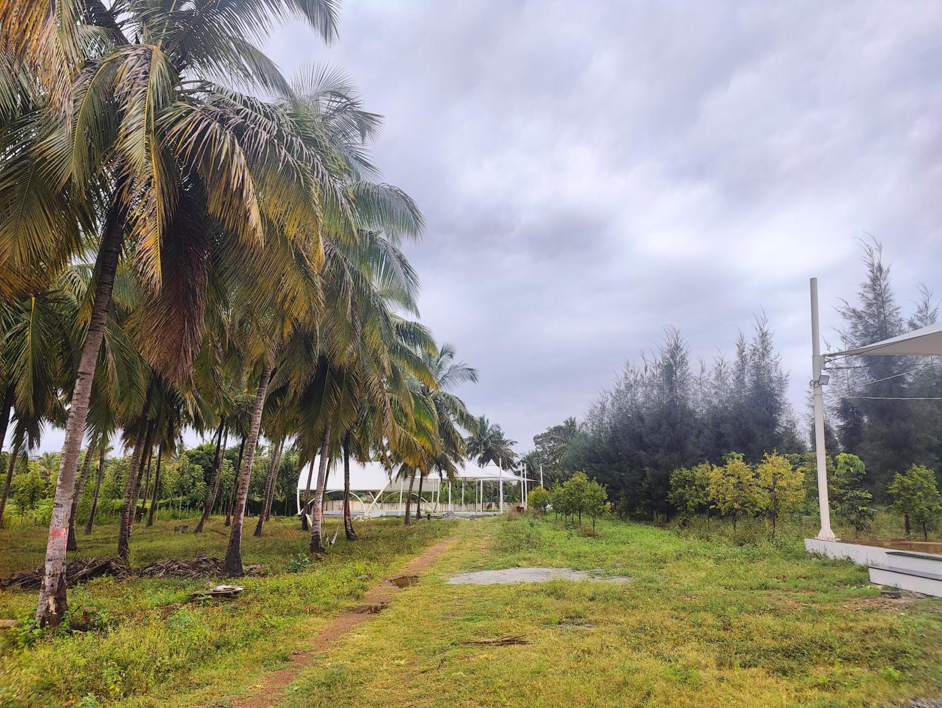Encanto Farmstay view 2