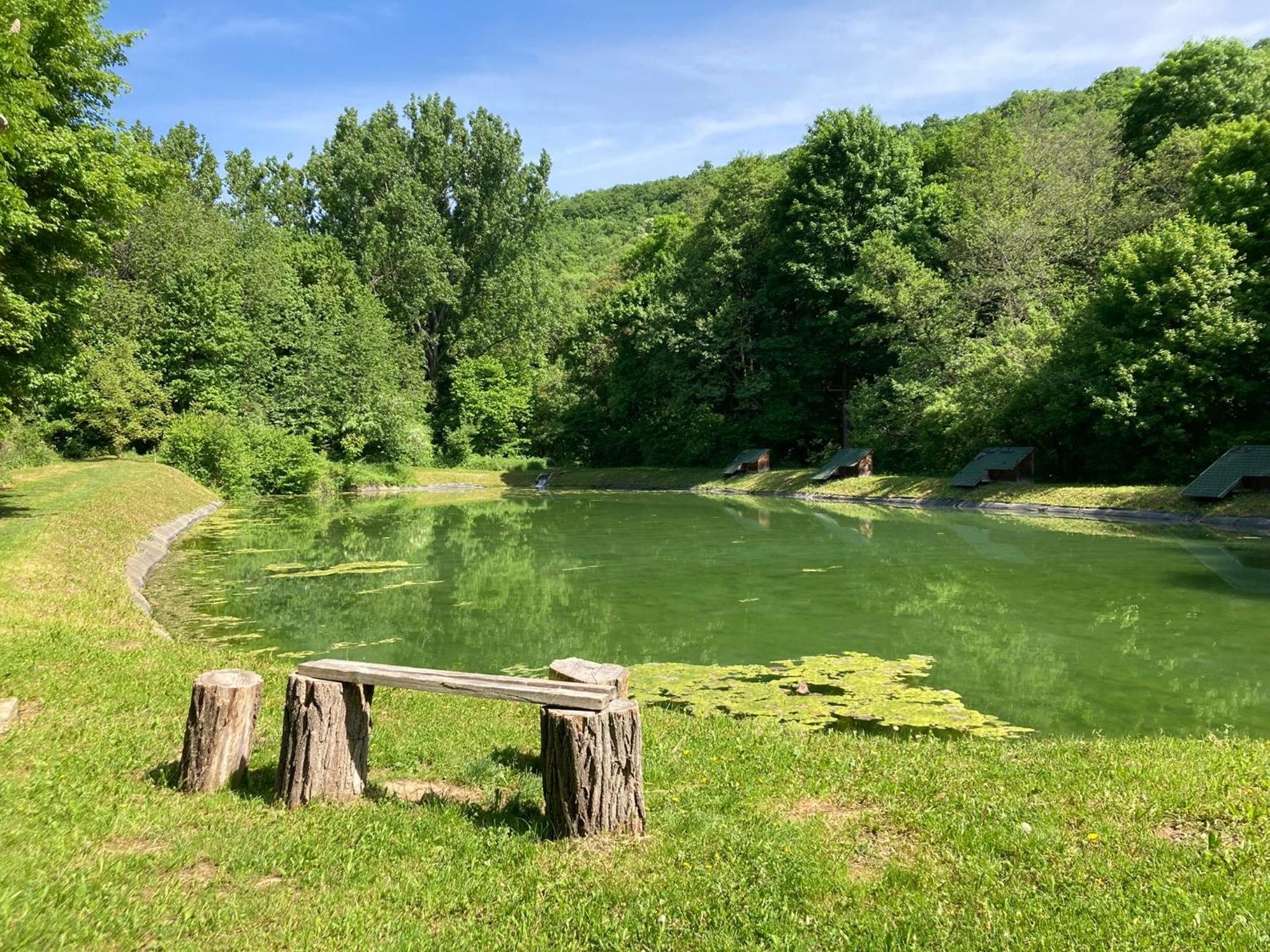 Zlatý páv view 5