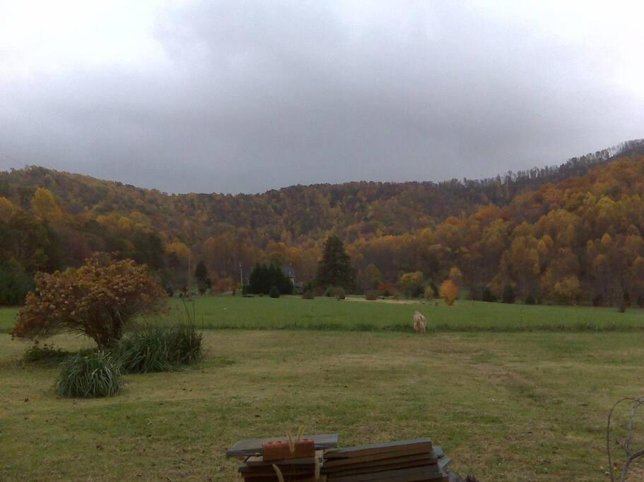 Photo 38