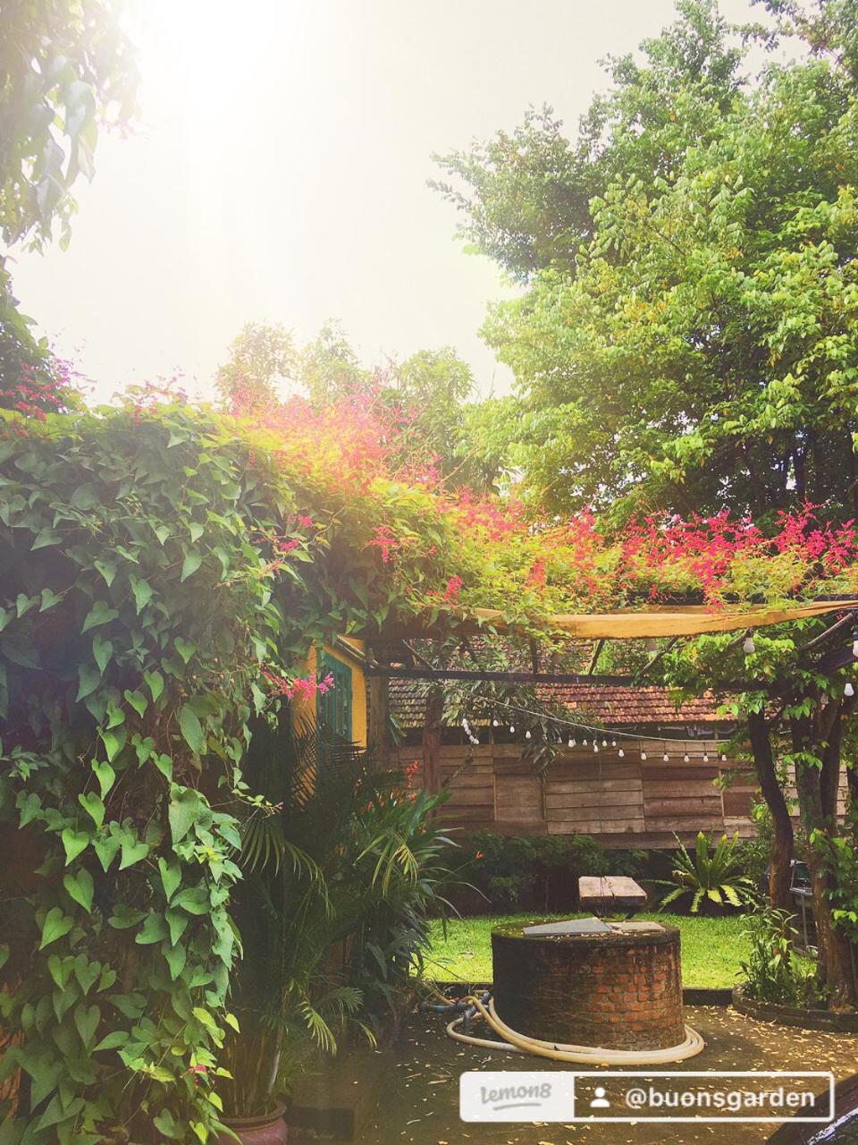 Buon'S garden