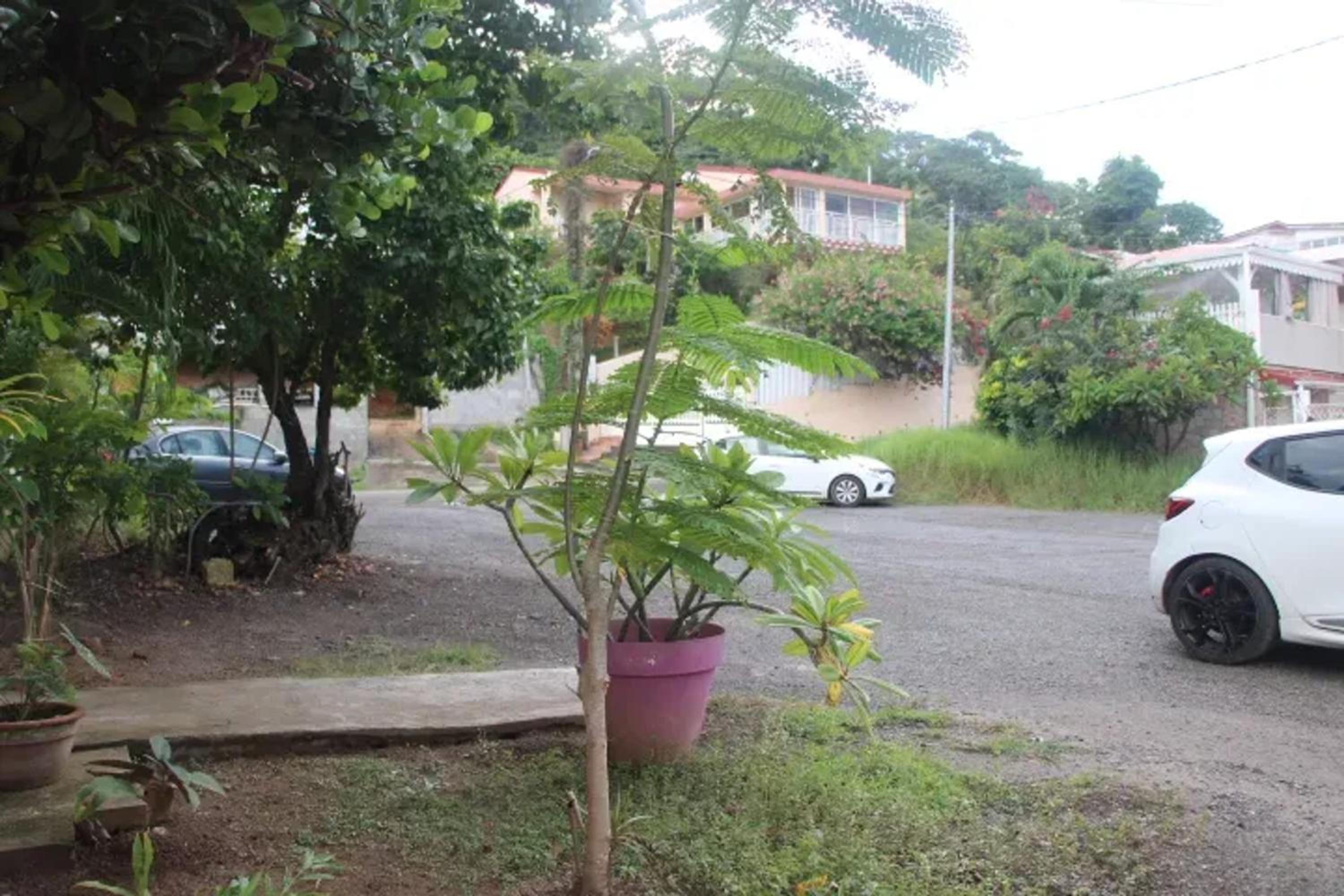 Photo 48