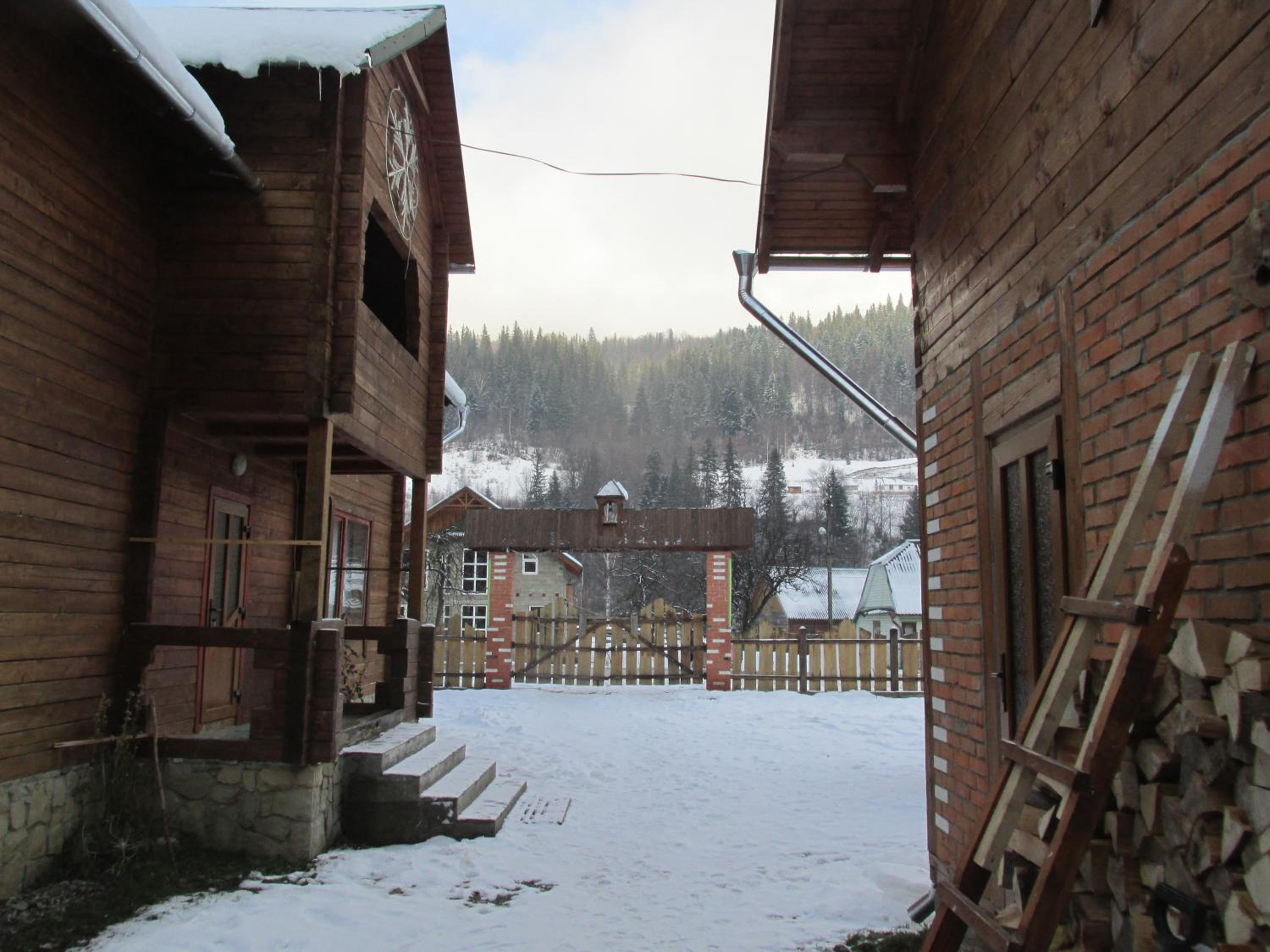 Photo 46