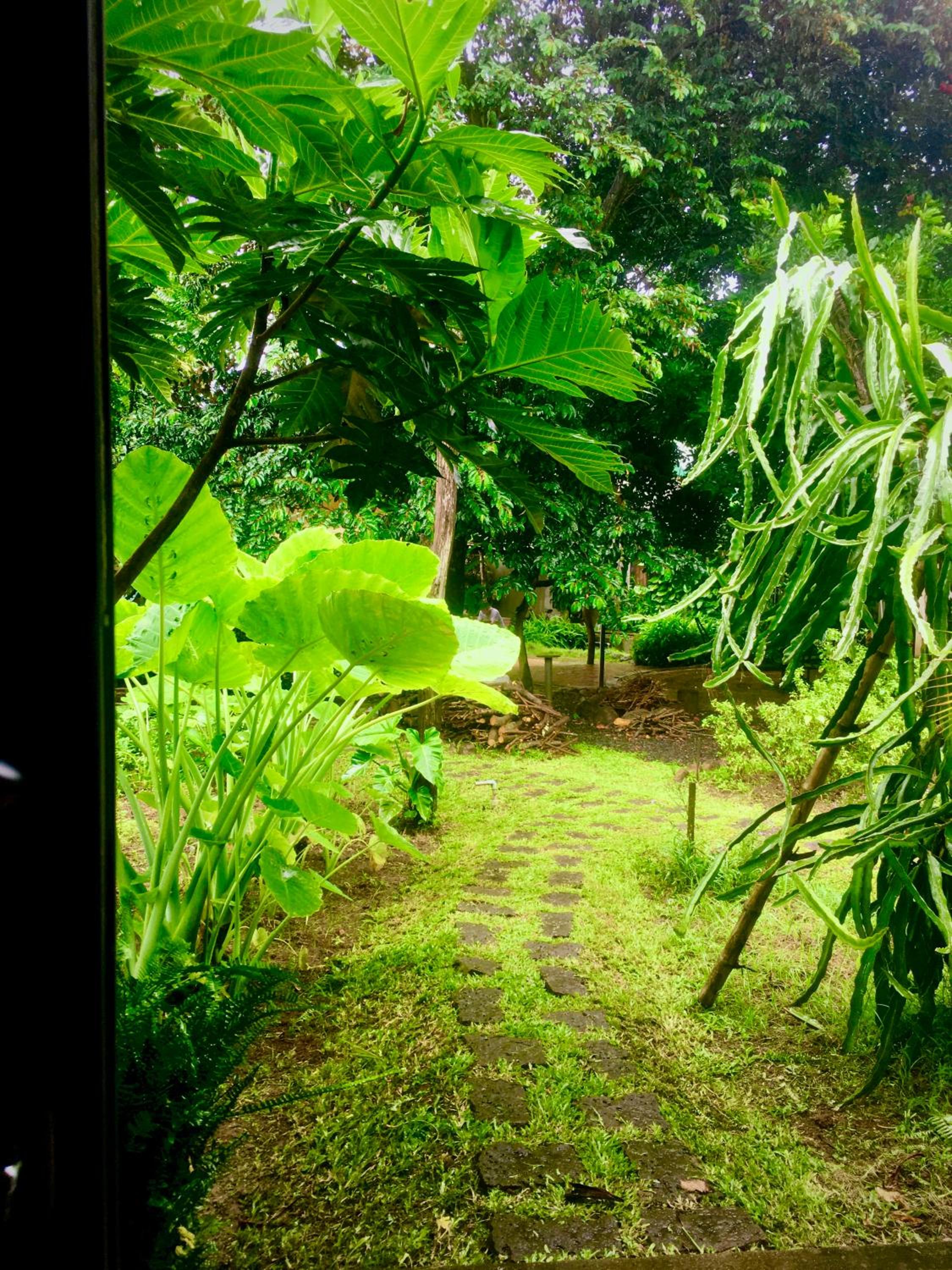 Buon'S garden