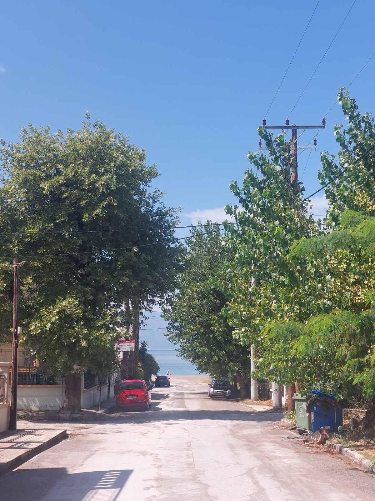 Villa Iroko - Property Image 13