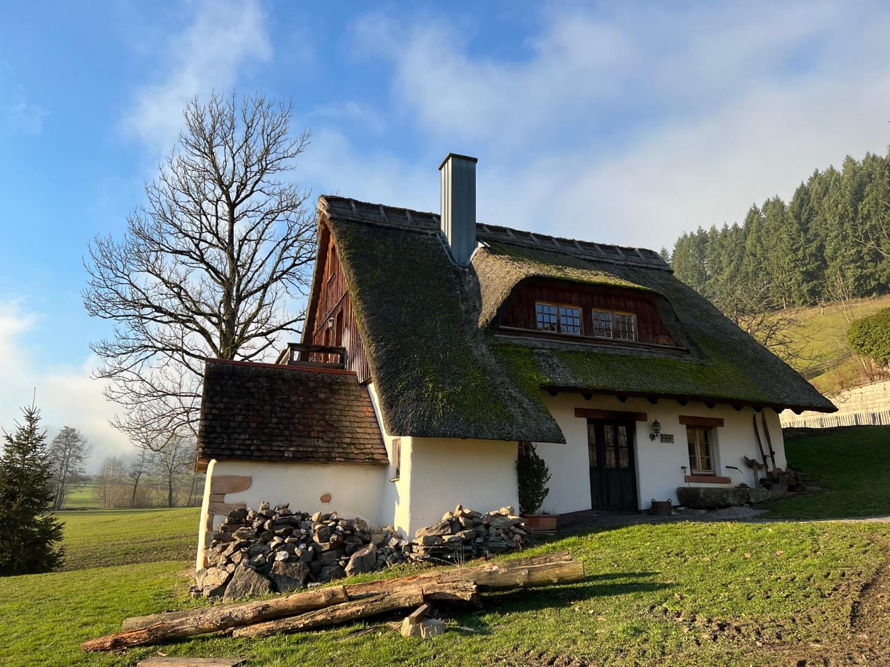 Ferienhaus Schwarzwald Mühle mit Sonnenlage, Natur, Wanderwege