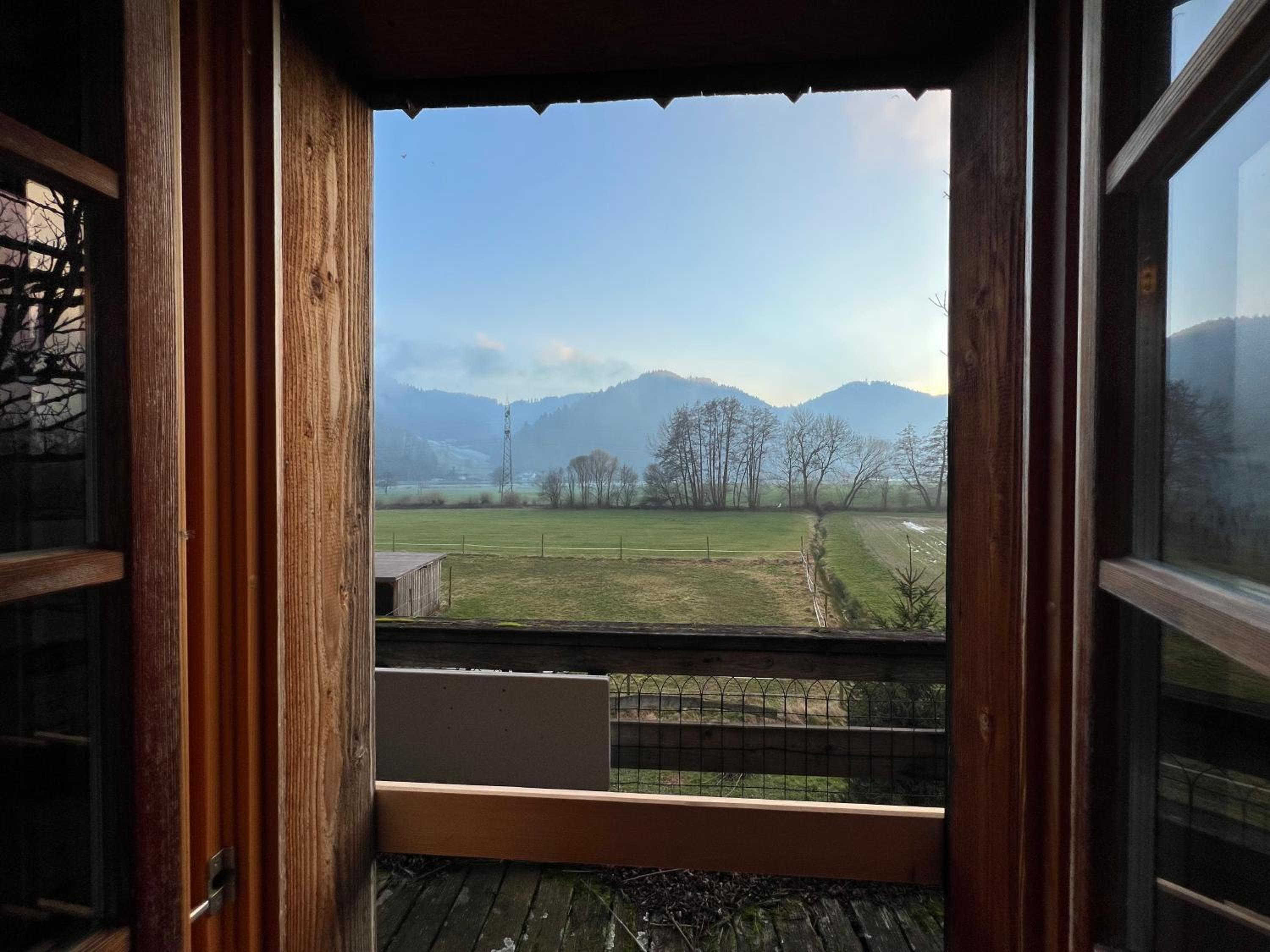 Ferienhaus Schwarzwald Mühle mit Sonnenlage, Natur, Wanderwege