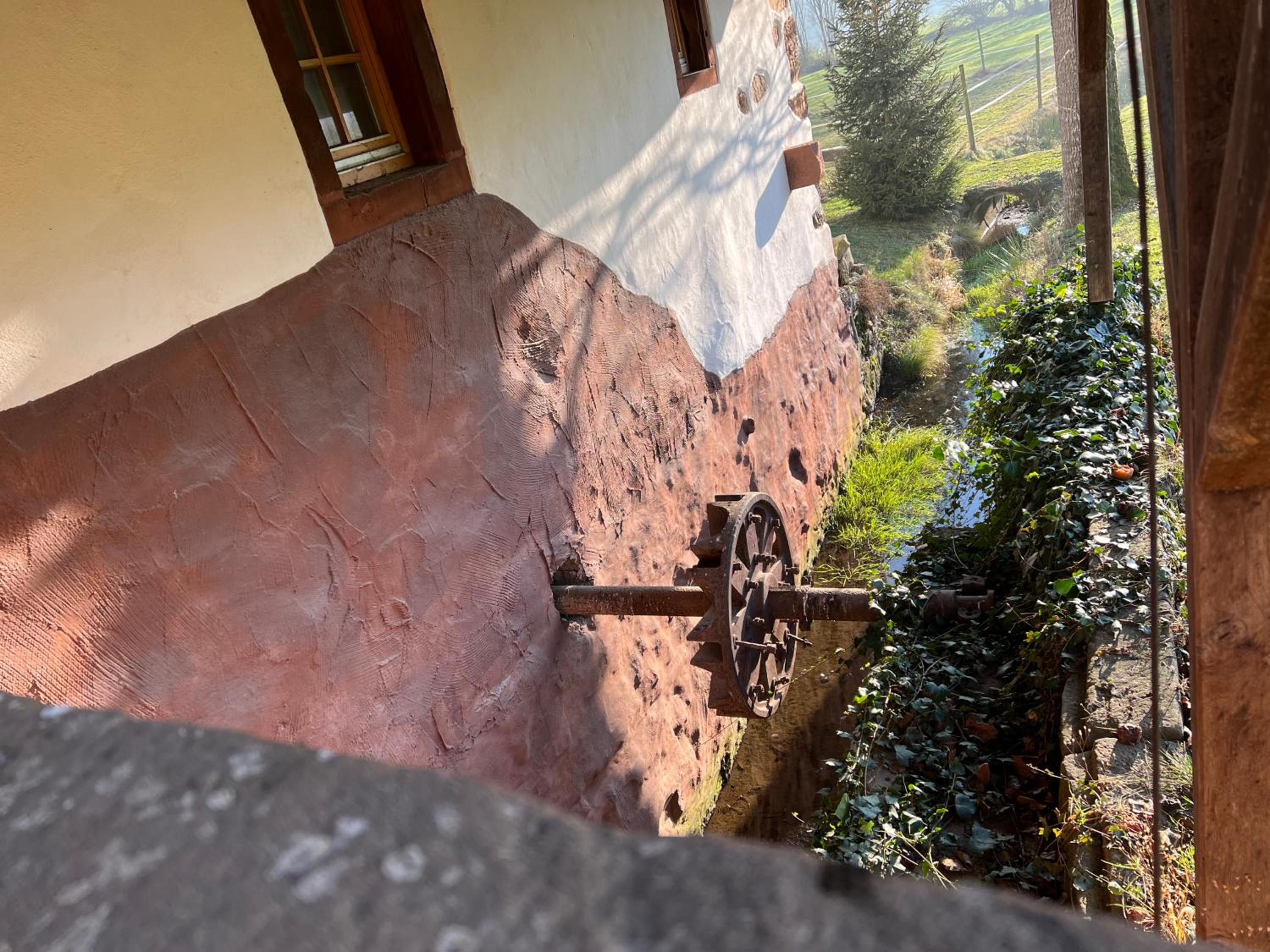 Ferienhaus Schwarzwald Mühle mit Sonnenlage, Natur, Wanderwege
