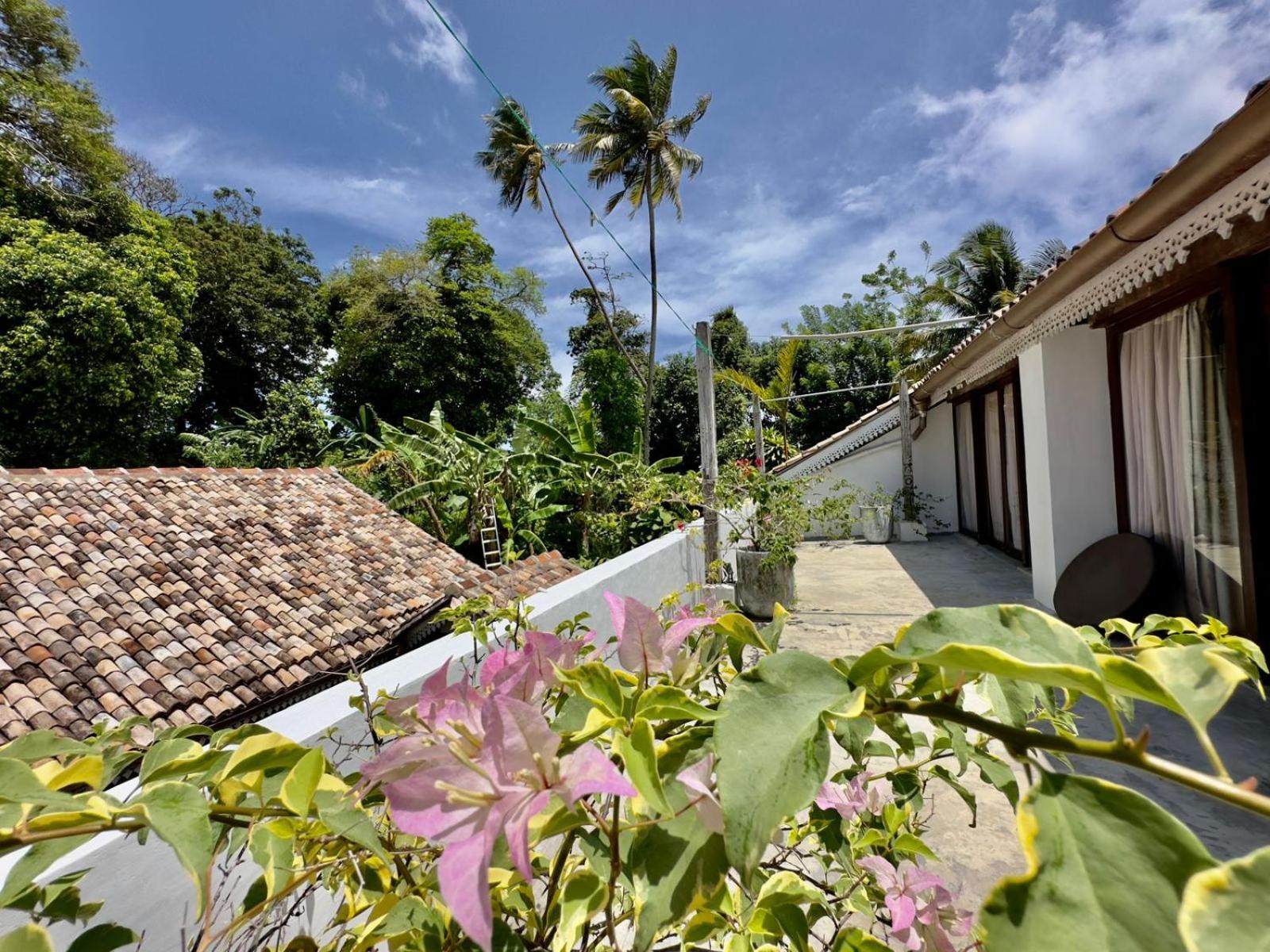 Foozoo Mantra Weligama