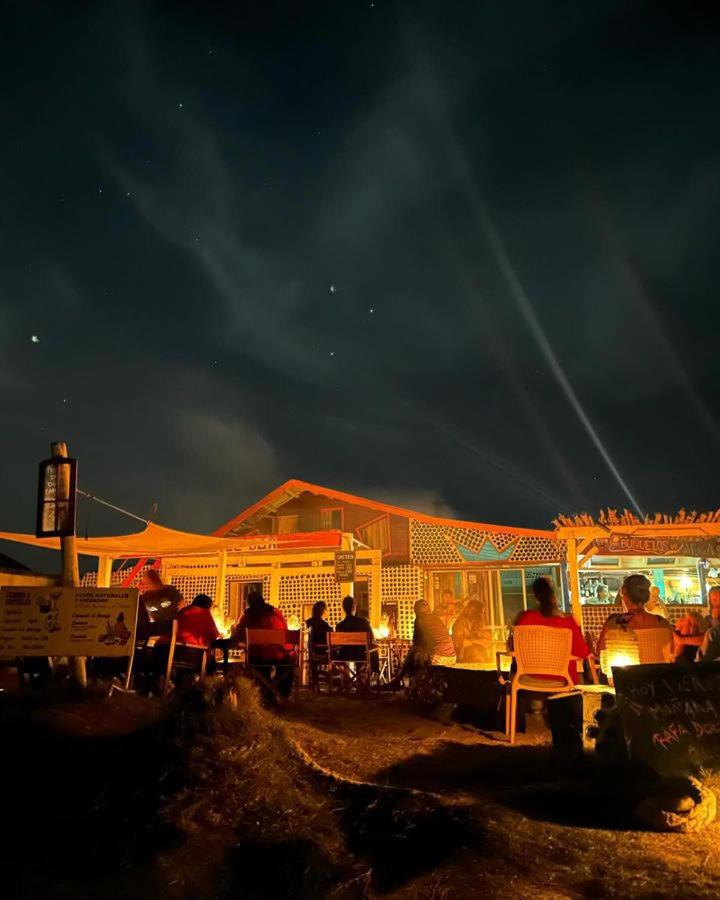 Lobo Hostel Bar