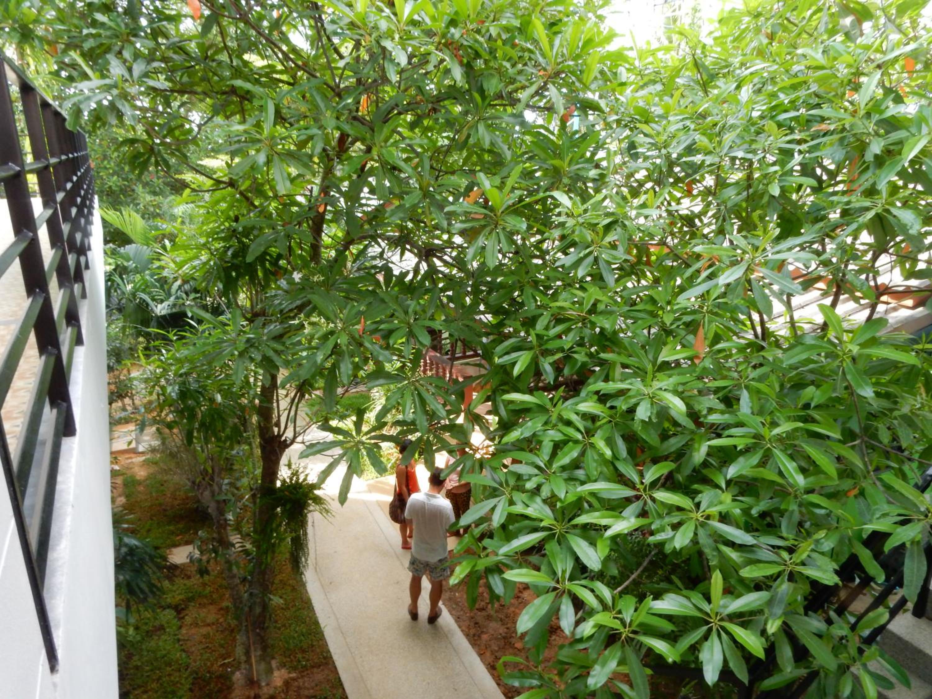 Wandee Bed & Breakfast