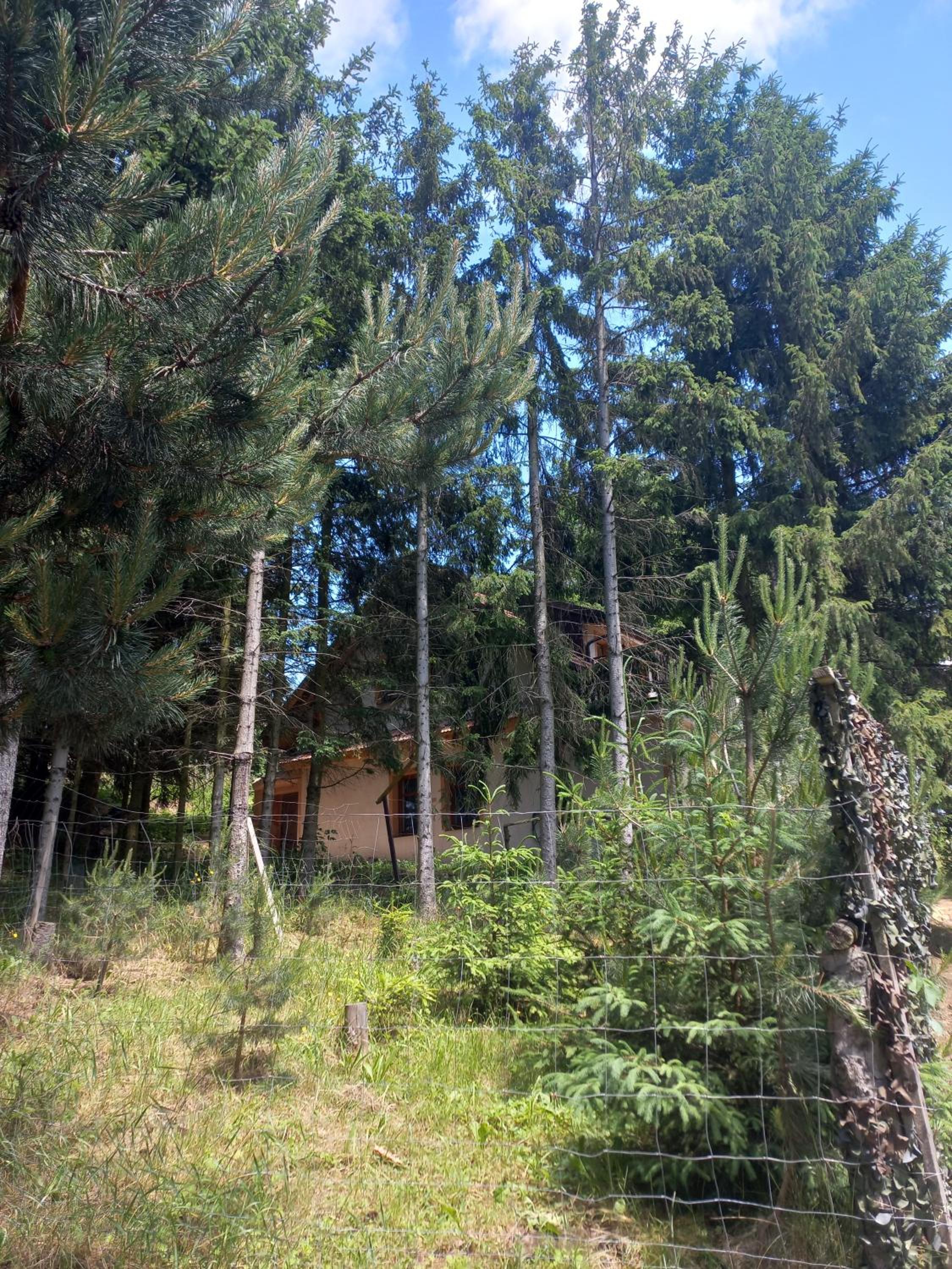 Chata Lhotka