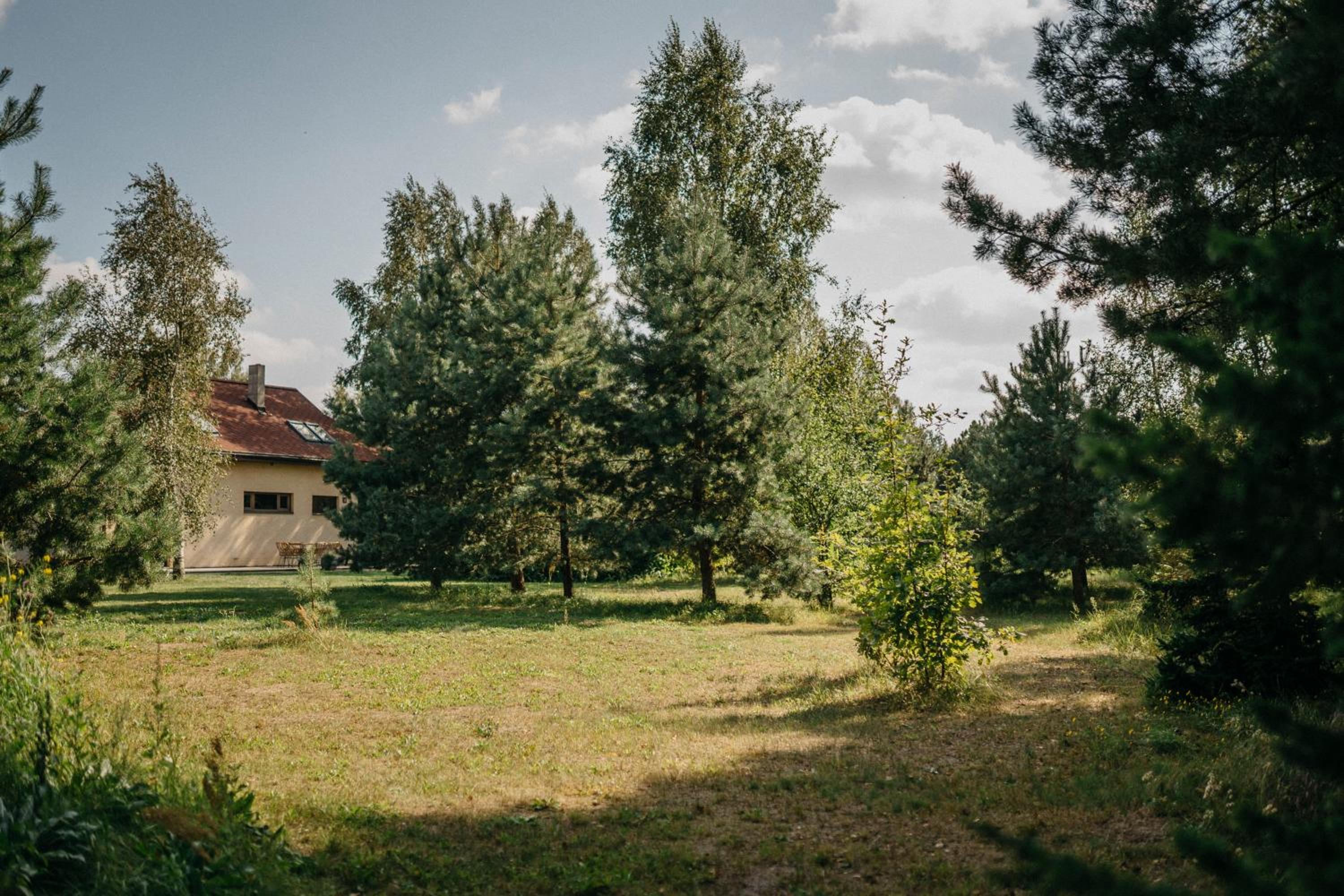 ANDO Villa with wood stove sauna