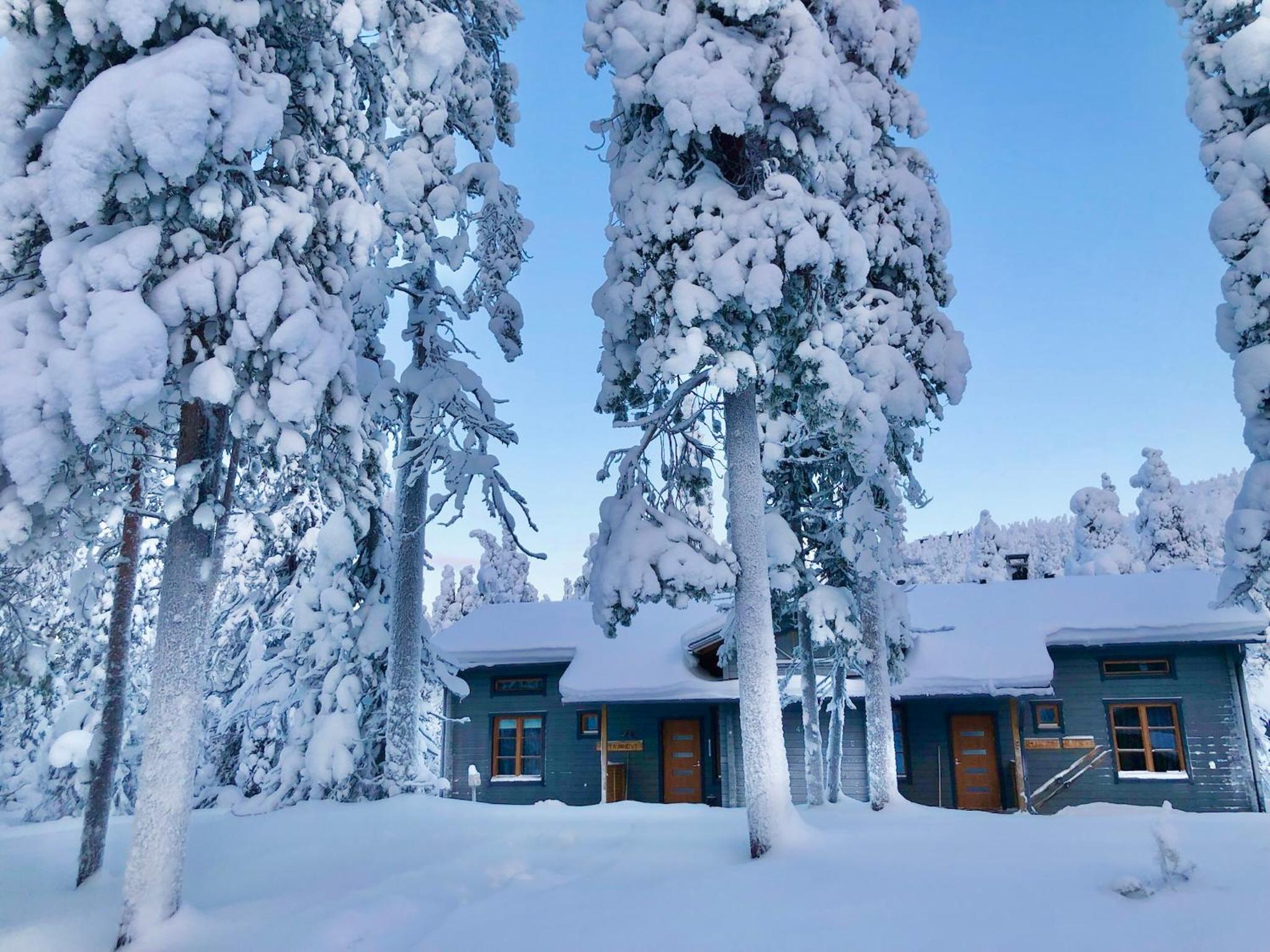 Petäjähovi