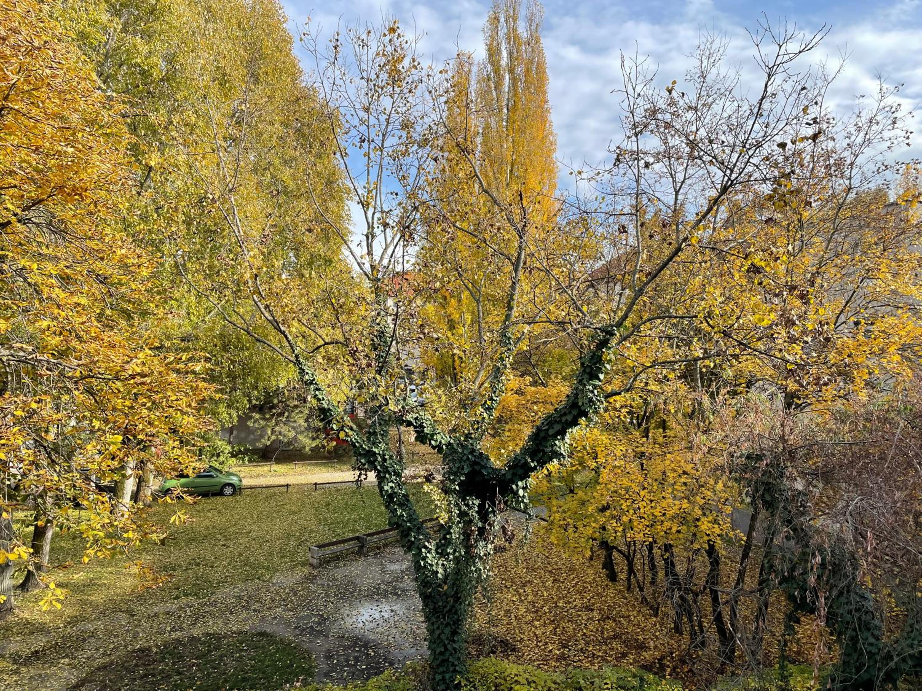 Photo 45