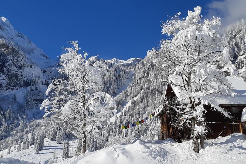 Absolut ruhige Aussichtslage in uraltem Holzhaus