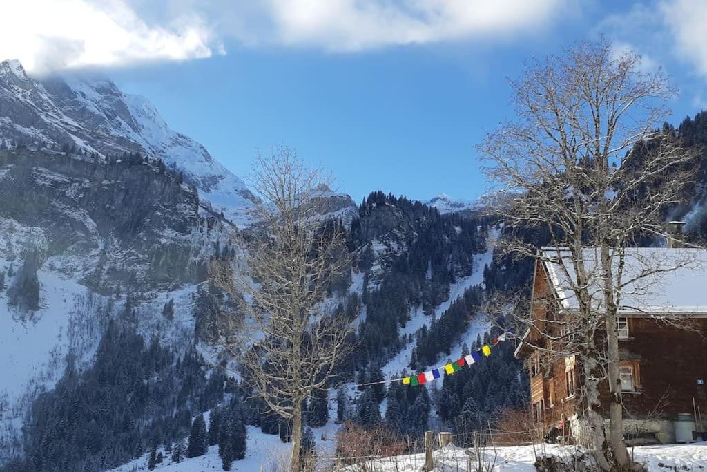 Absolut ruhige Aussichtslage in uraltem Holzhaus