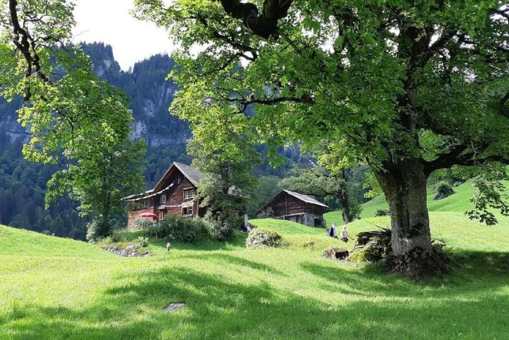 Absolut ruhige Aussichtslage in uraltem Holzhaus