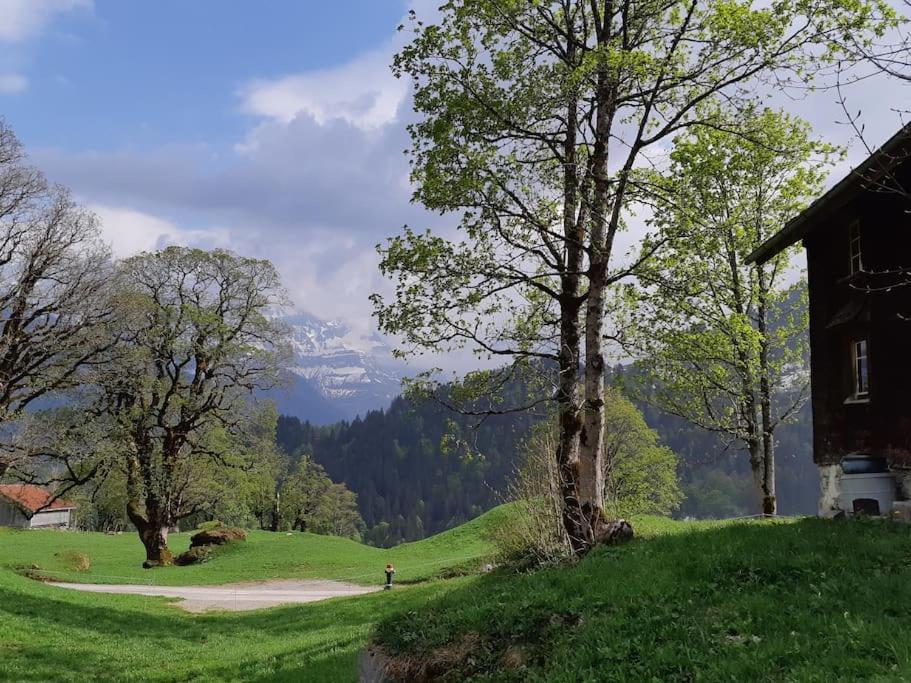 Absolut ruhige Aussichtslage in uraltem Holzhaus