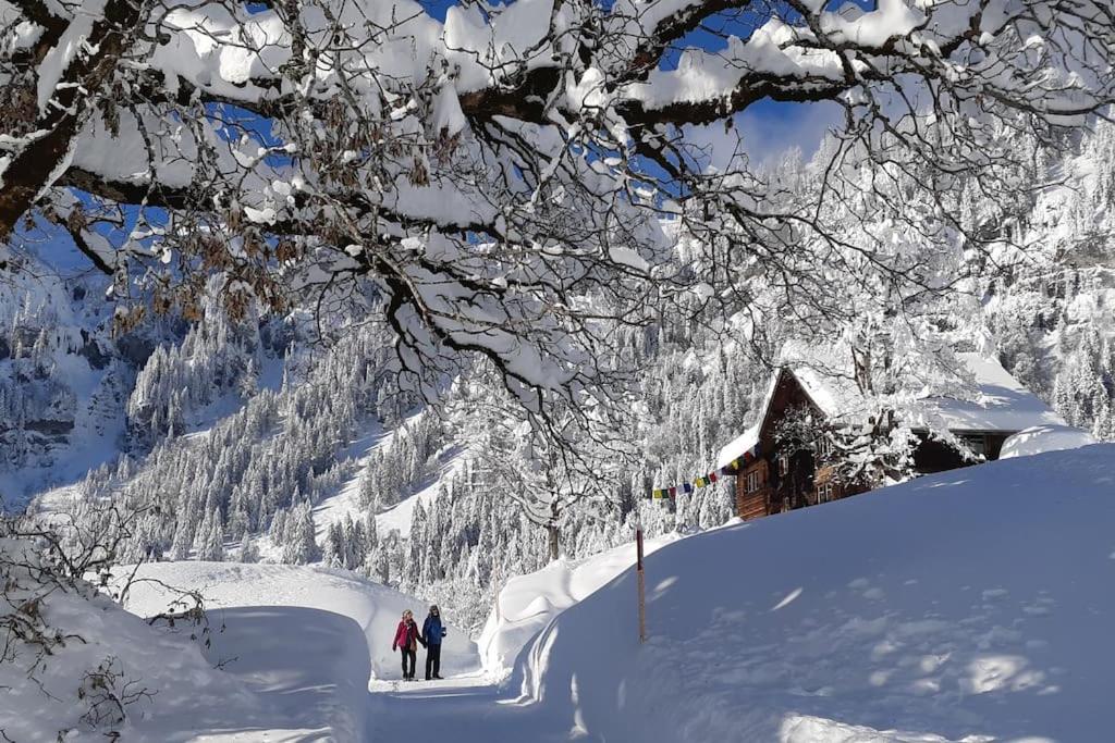 Absolut ruhige Aussichtslage in uraltem Holzhaus