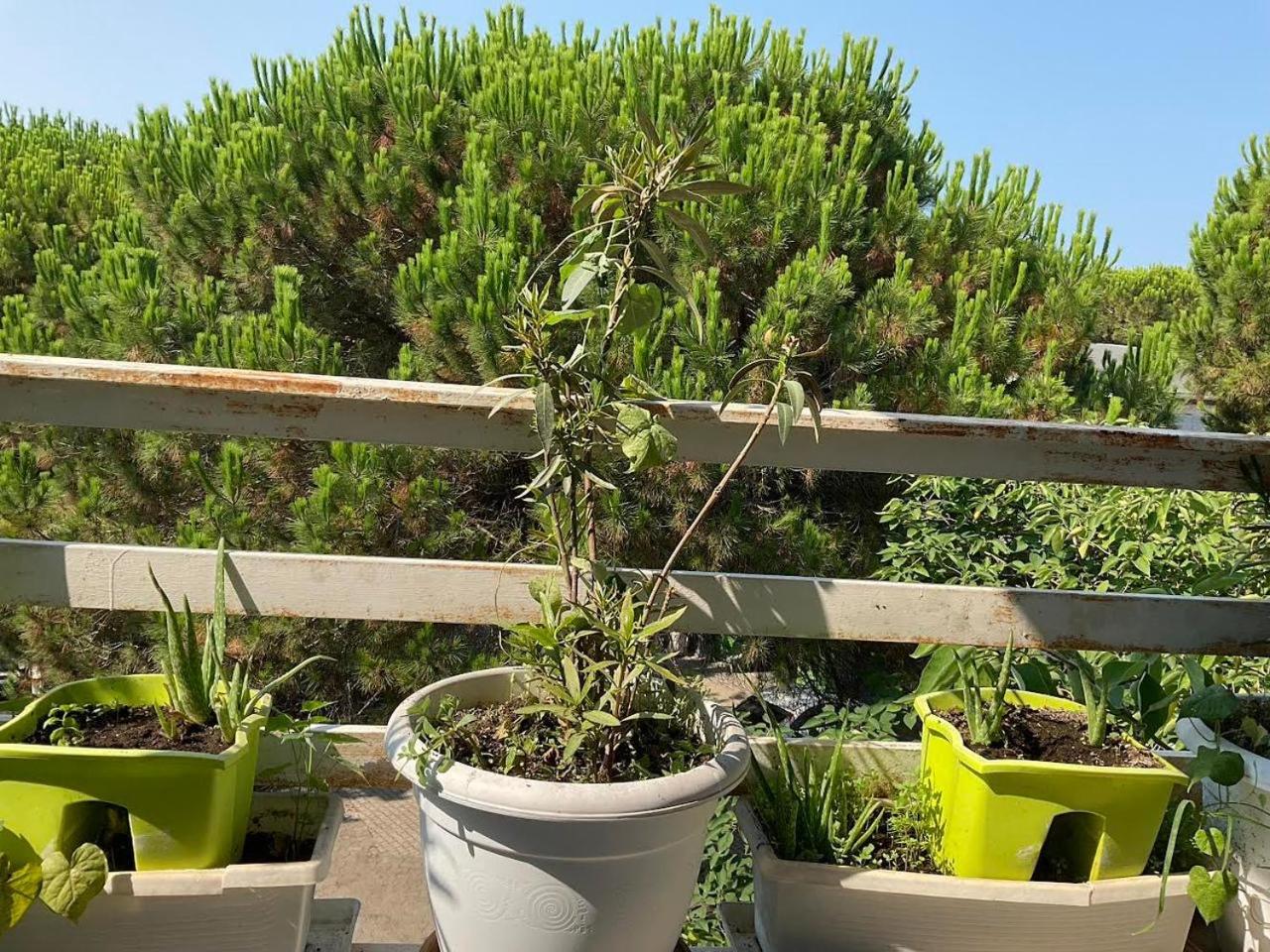 Apartament gjiri lalzit