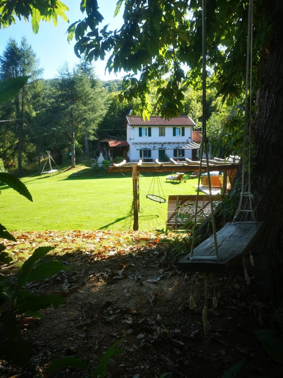La rosa sul lago