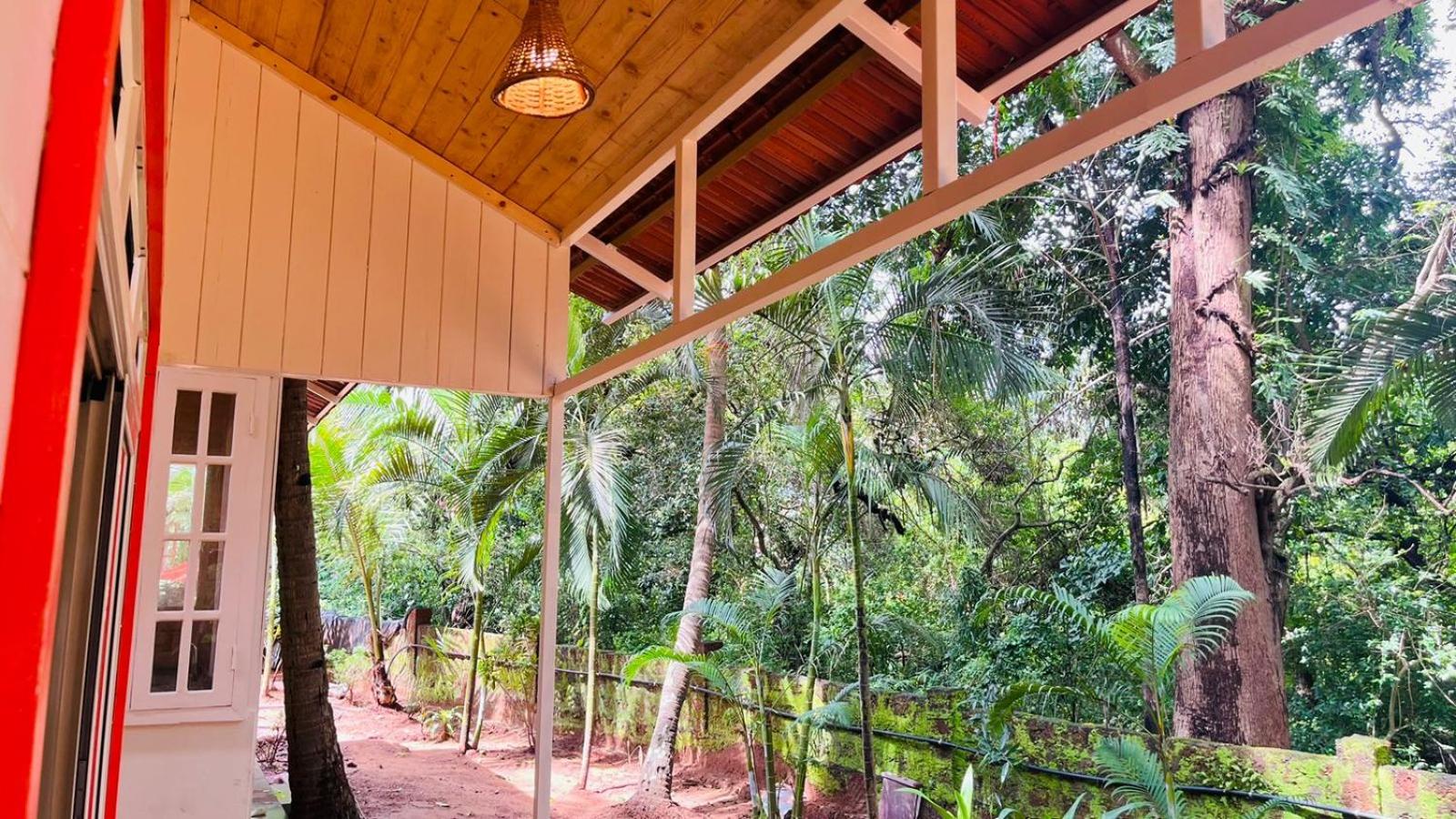 The Mild Goa
