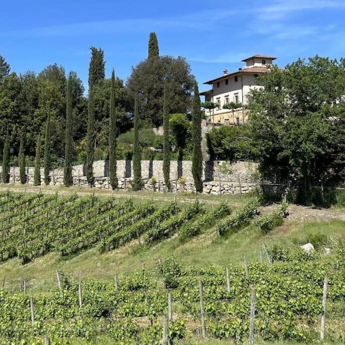 Appartamento immerso nel chianti view 2
