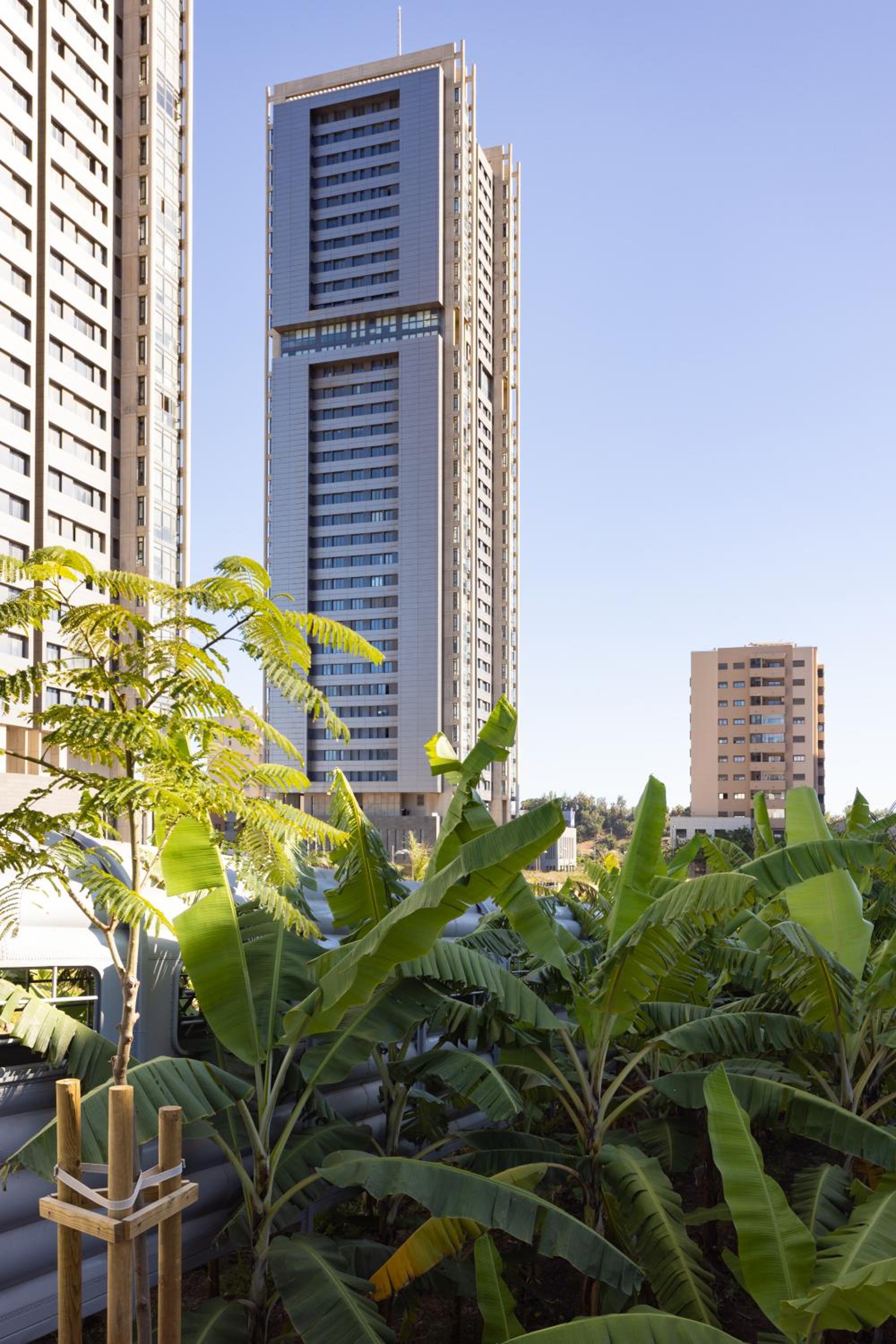 EDEN RENTALS Skyline Ocean View