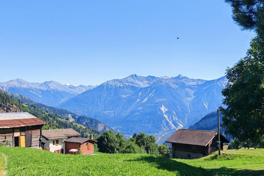 Alpine Siesta