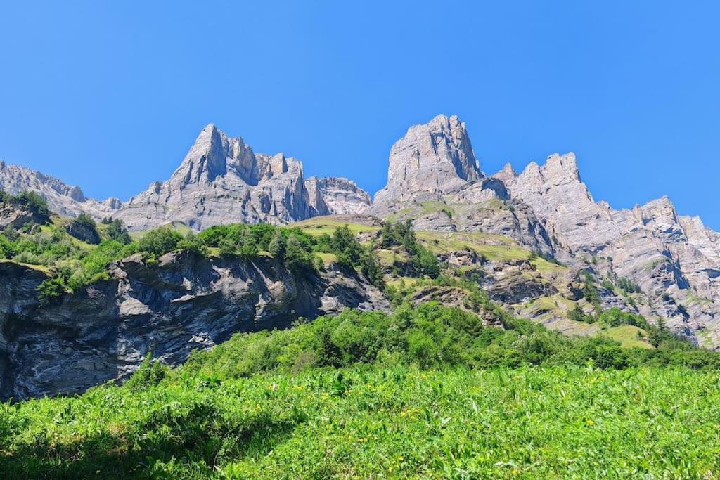 Alpine Siesta