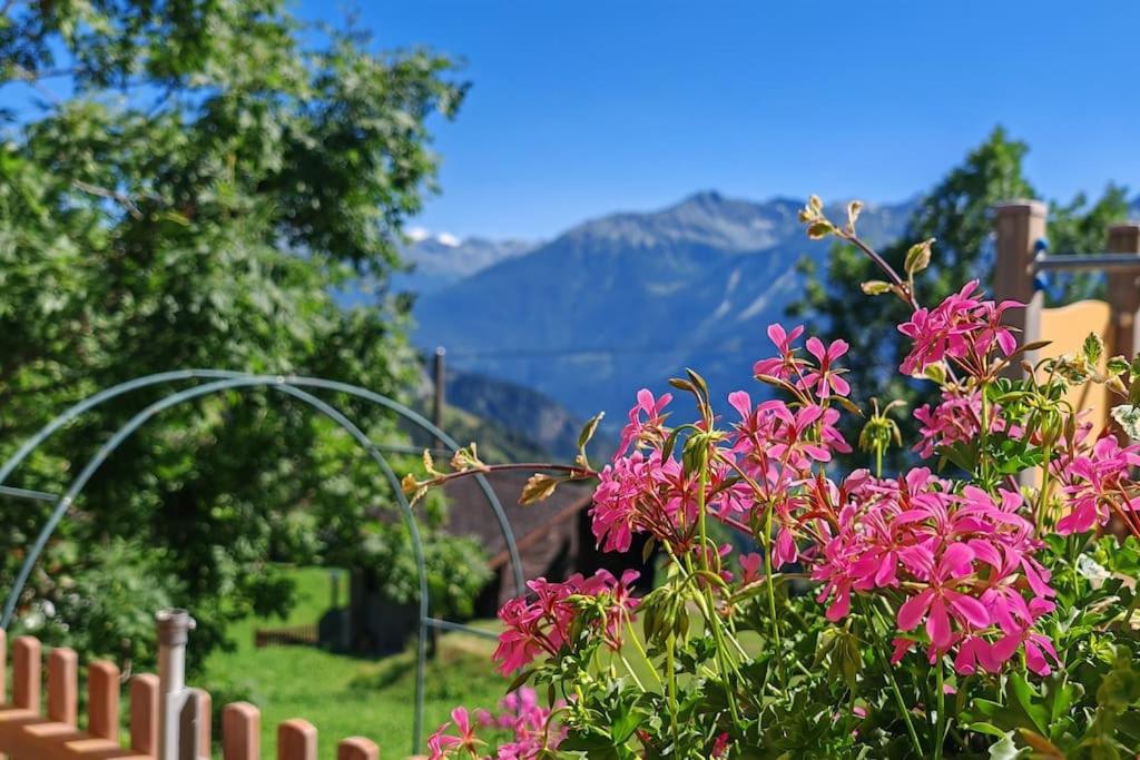 Alpine Siesta