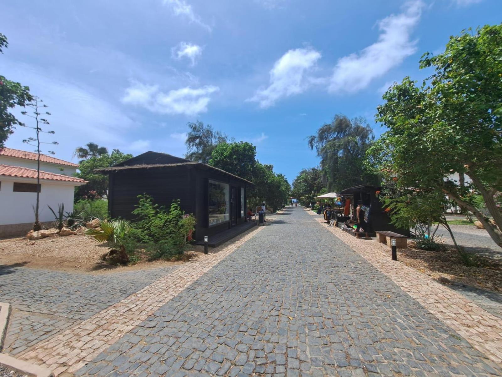 Spacious 2 Bedroomed Apartment
