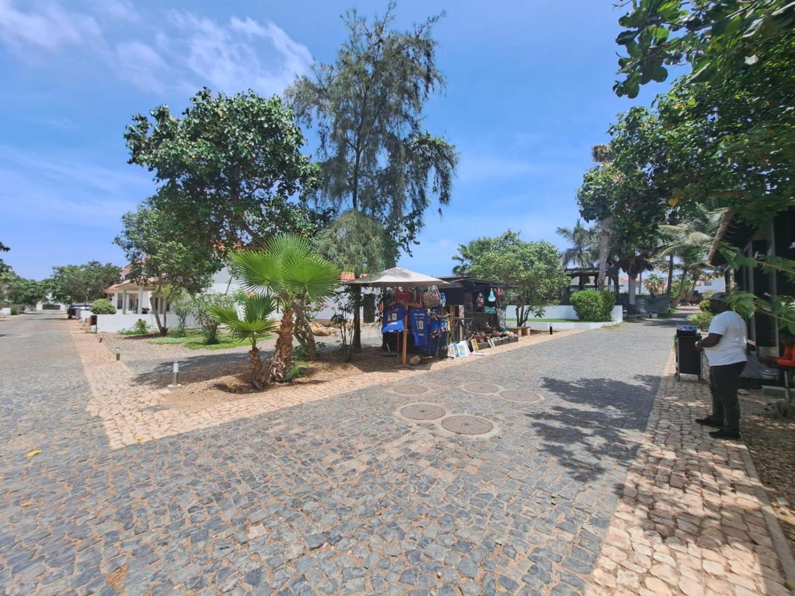 Spacious 2 Bedroomed Apartment