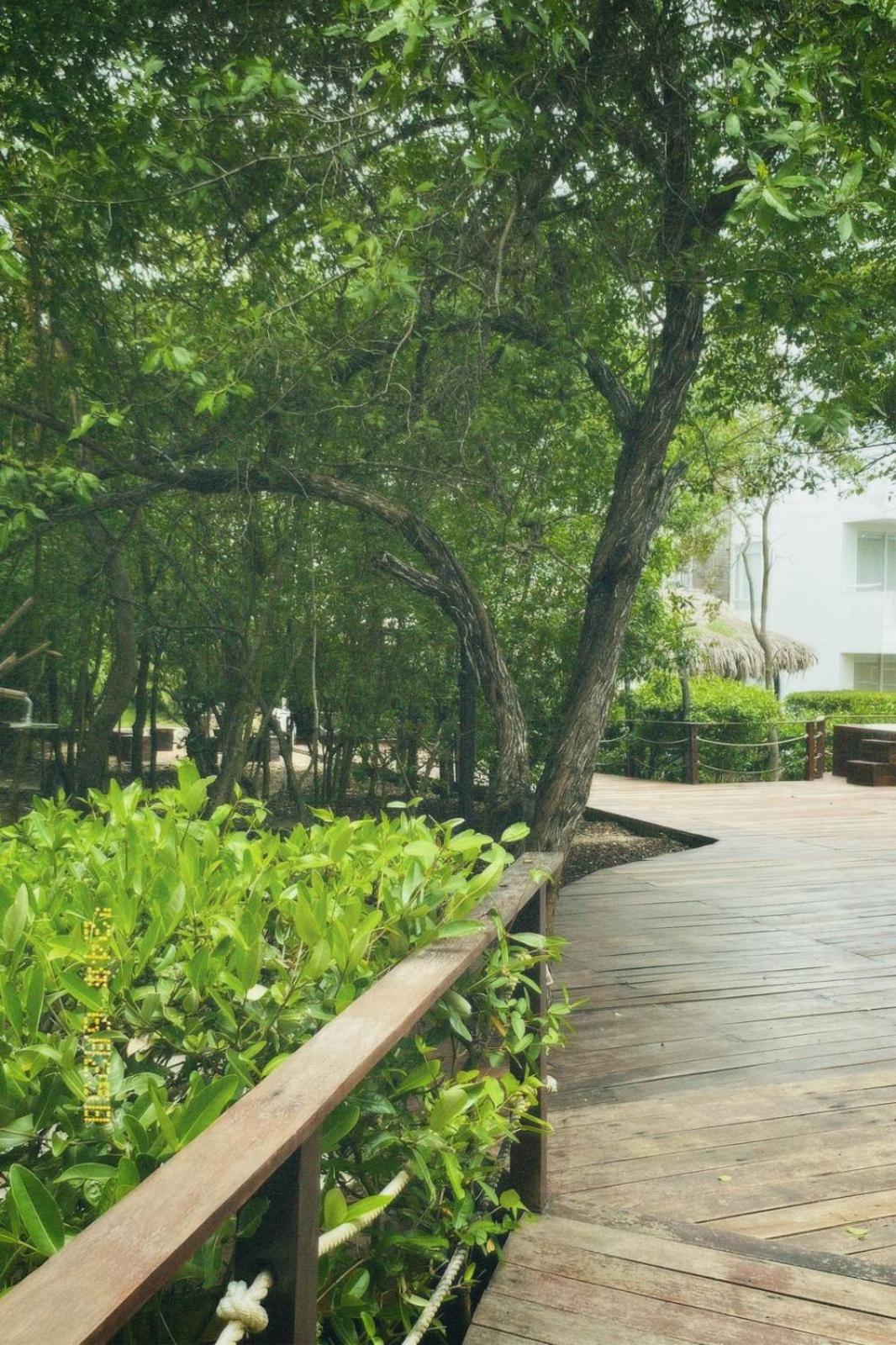Santo Manglar Cartagena Life Wellness Spa Hotel